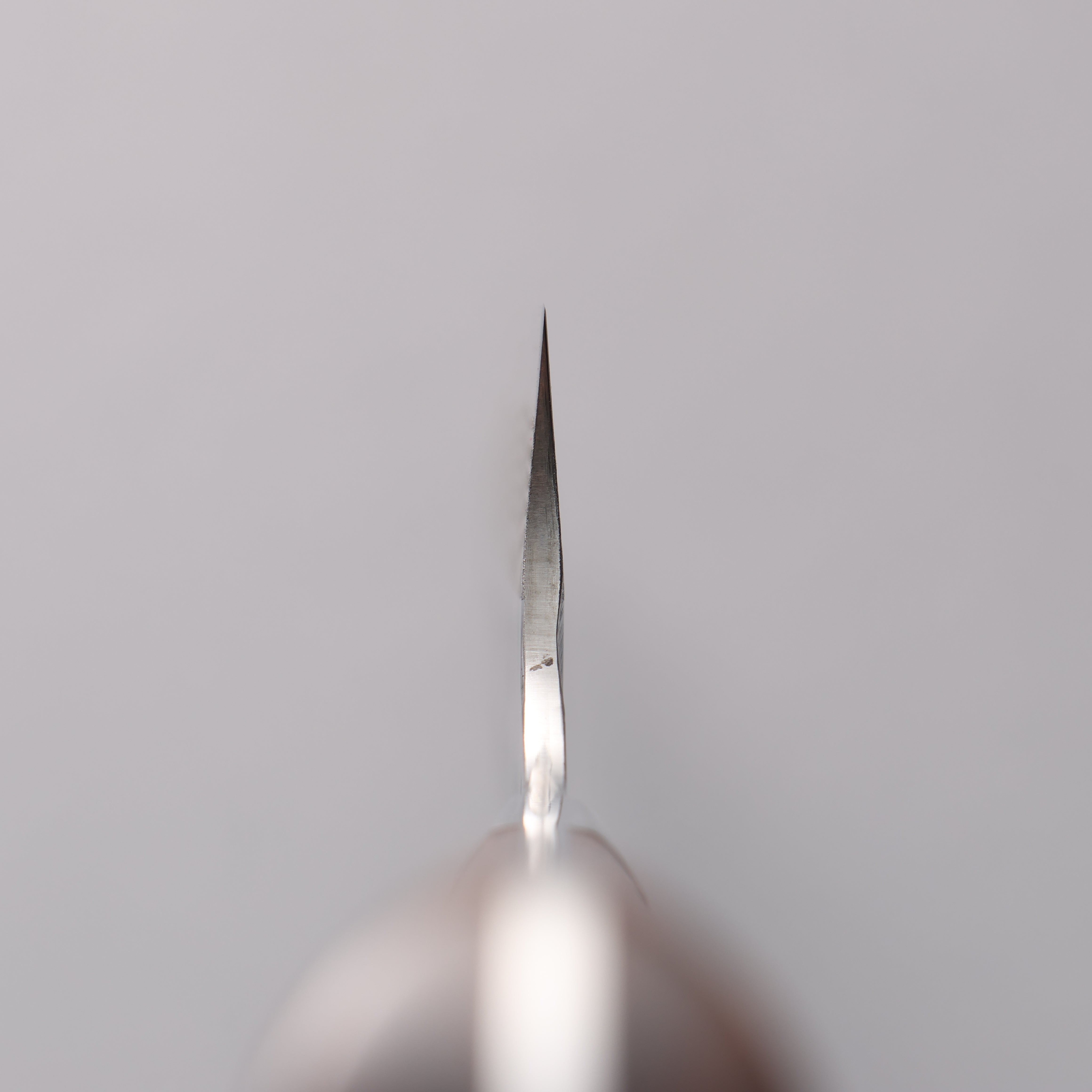 Takeshi Saji SRS13 Damascus Hammered(Maru) Kiritsuke Sujihiki  270mm Ironwood Handle - Seisuke Knife