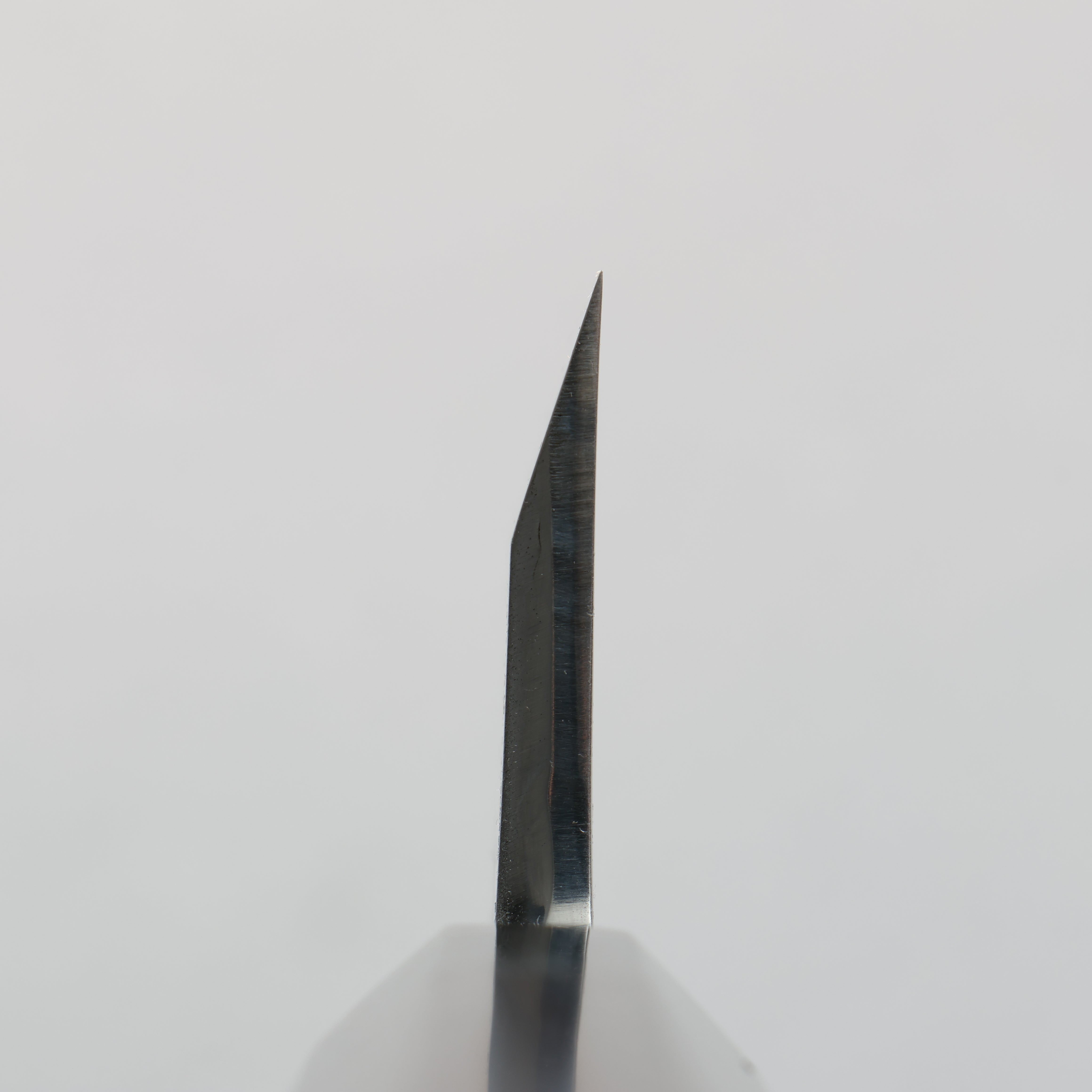 Sakai Takayuki Blue Steel No.2 Deba with Ebony Wood Handle - Seisuke Knife