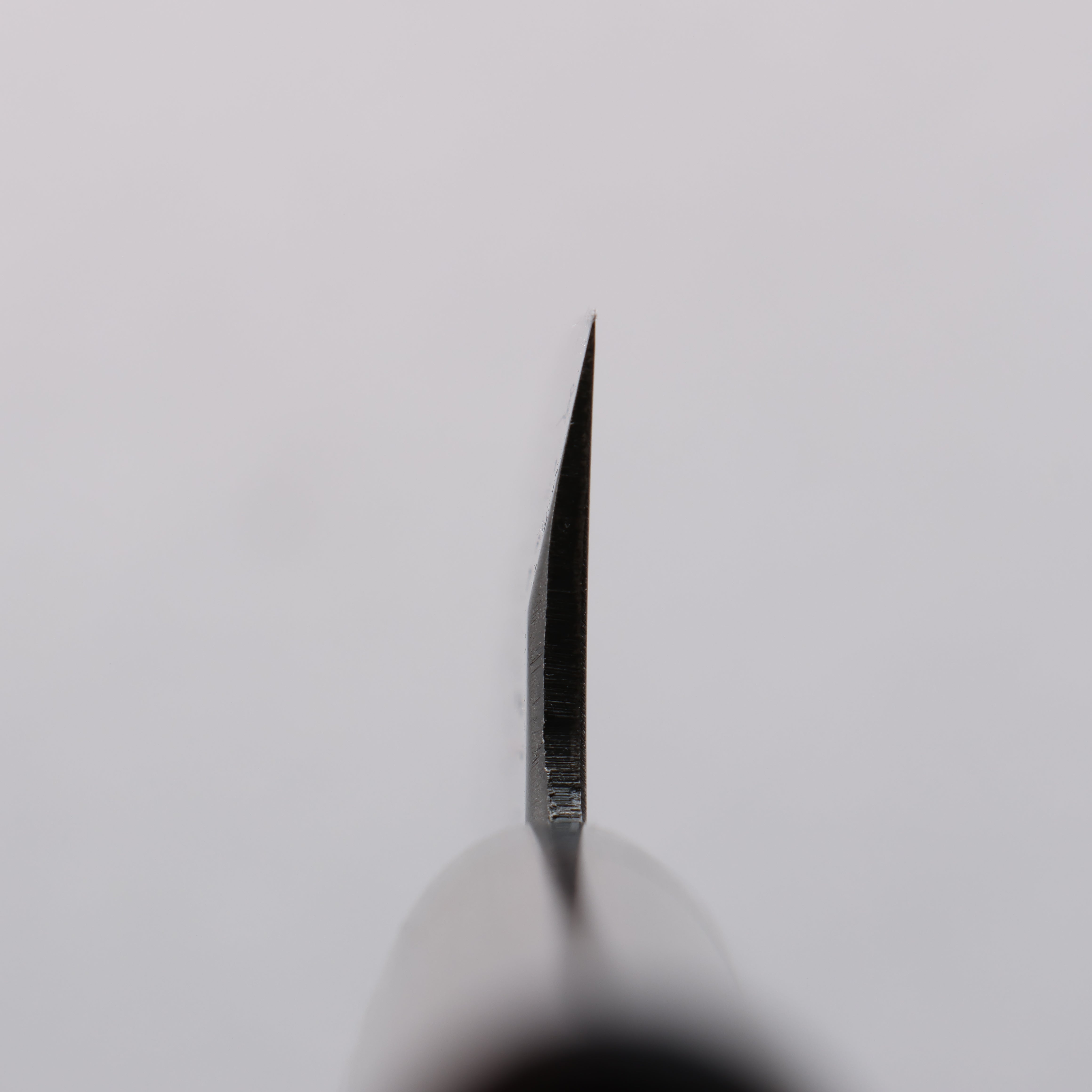 Seisuke Blue Steel Kasumitogi Funayuki 165mm Rosewood Handle - Seisuke Knife