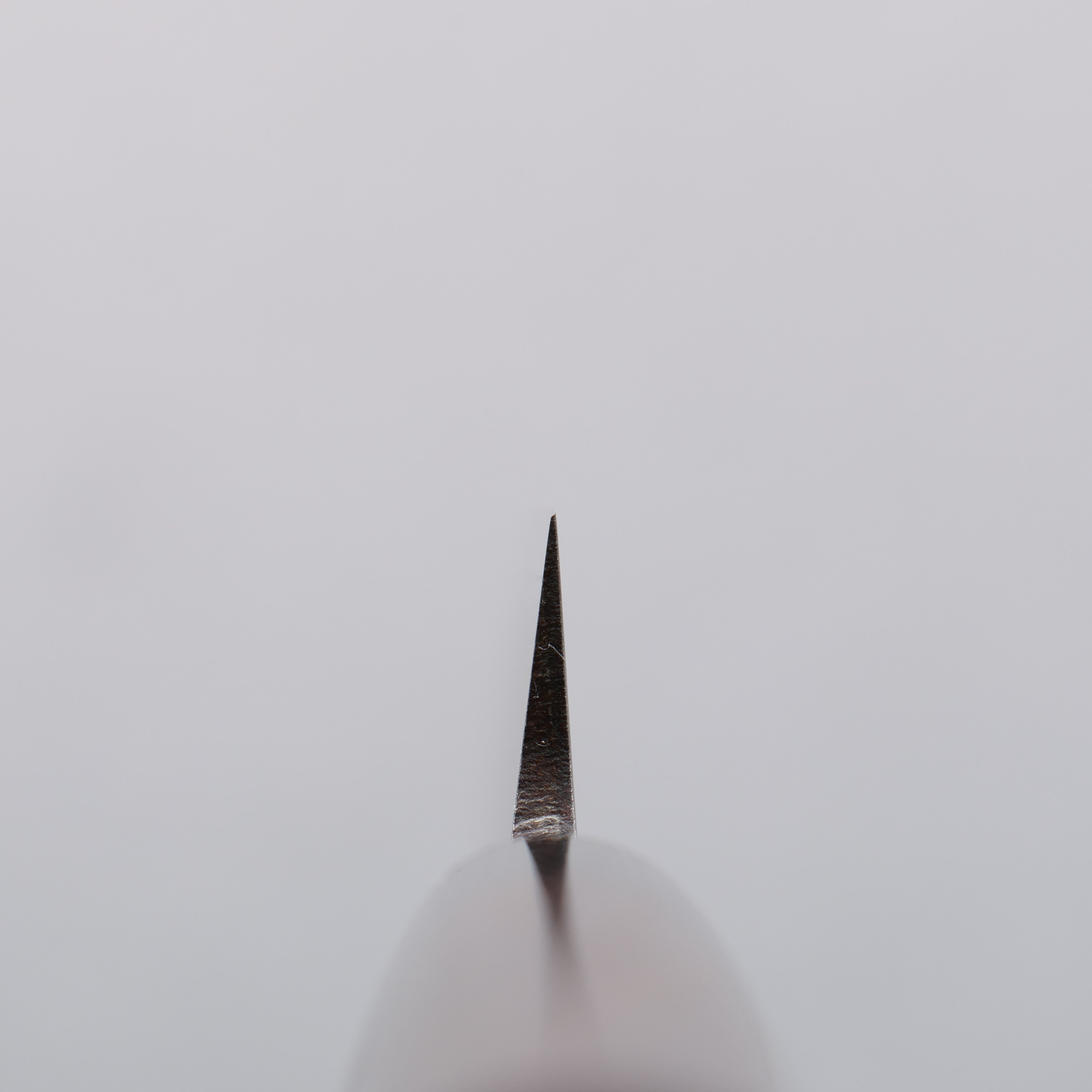 Seisuke VG1 Kasumitogi Yanagiba 210mm Rosewood Handle - Seisuke Knife