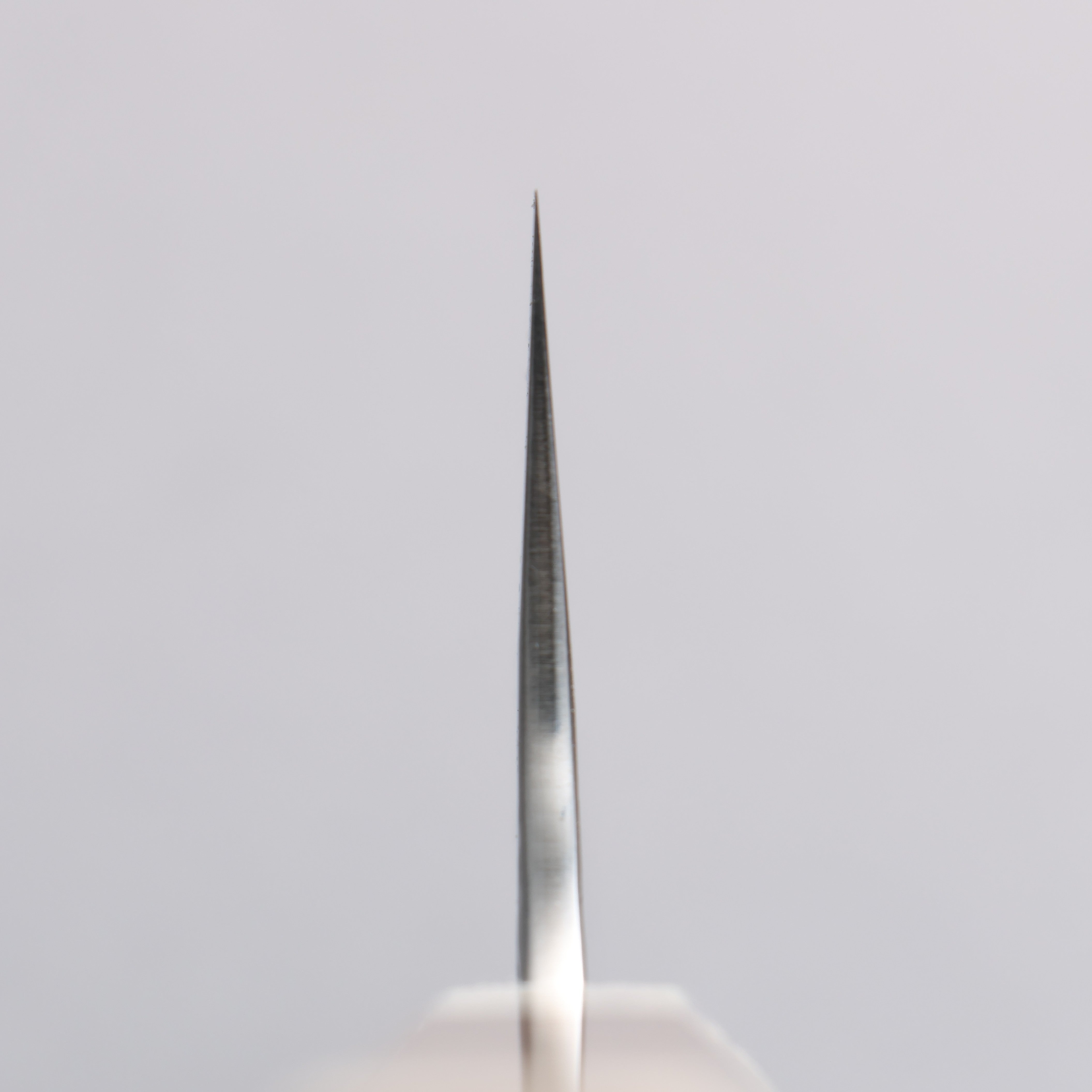Yu Kurosaki Fujin SG2 Hammered Gyuto 240mm Chinese Quince (White Ferrule and End Cap) Handle - Seisuke Knife