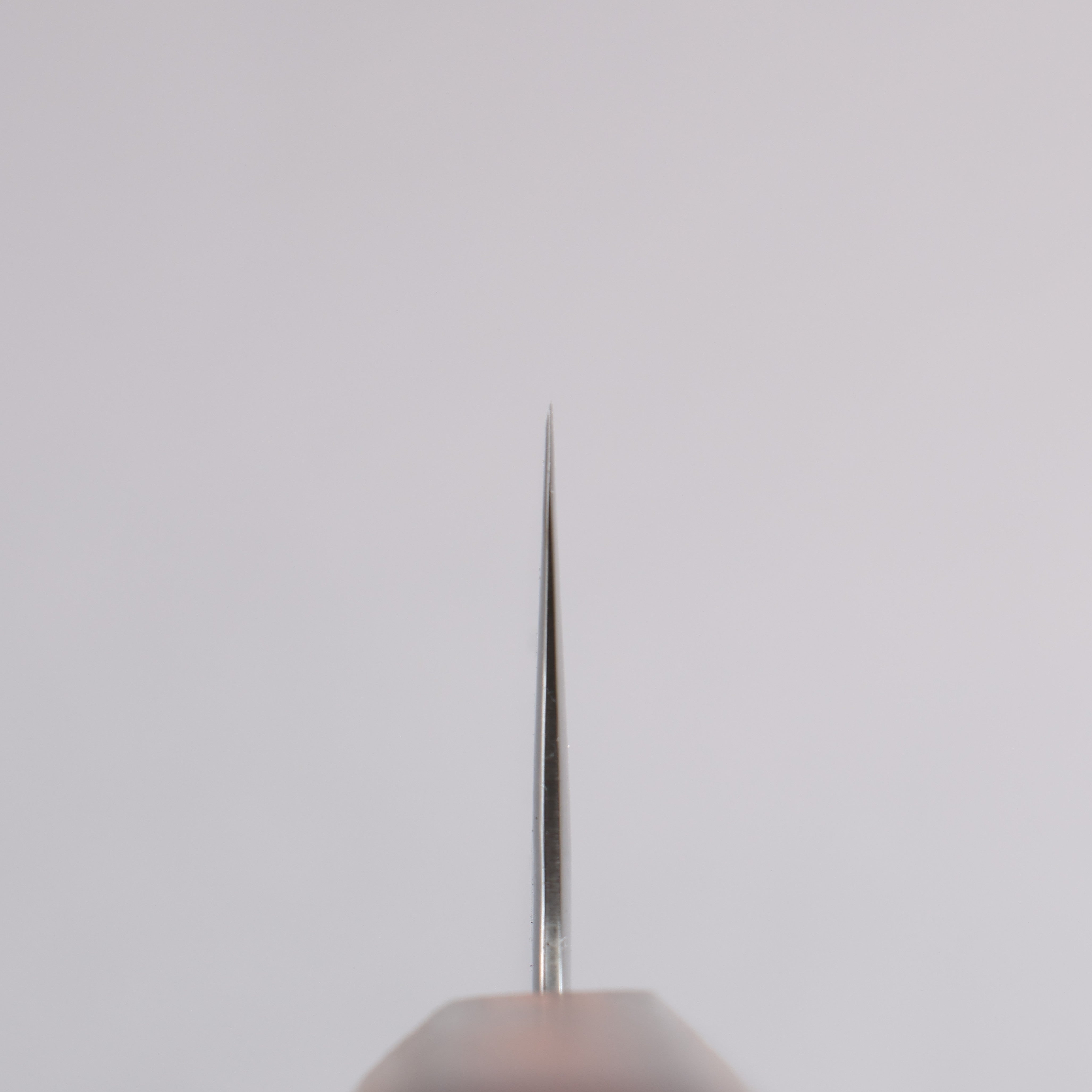 Seisuke Stainless Steel 440C Hammered Damascus Gyuto 210mm Oak Handle - Seisuke Knife