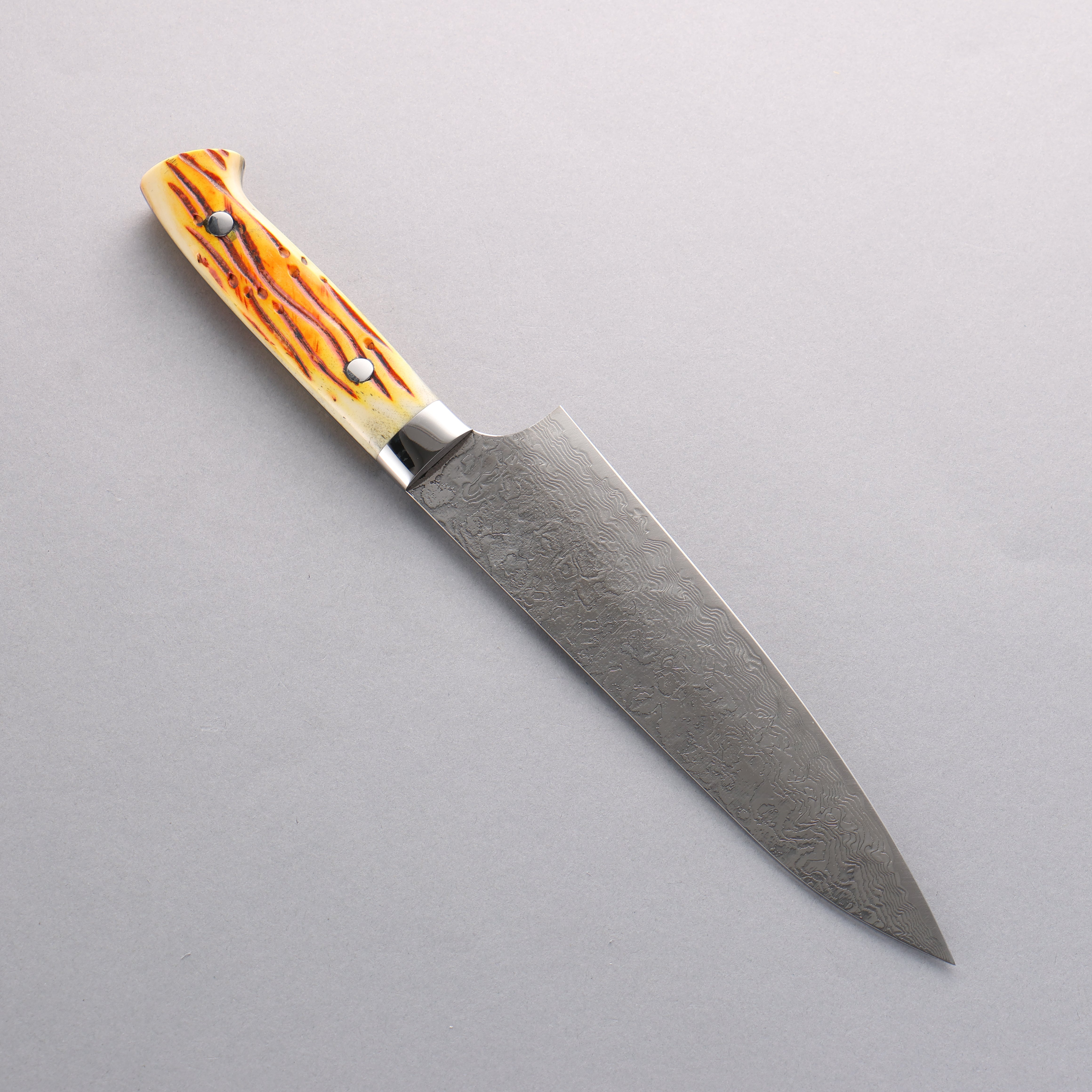 Takeshi Saji SG2 Diamond Finish Damascus Gyuto 180mm Orange Cow Bone Handle - Seisuke Knife