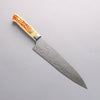 Takeshi Saji SG2 Diamond Finish Damascus Gyuto 210mm Orange Cow Bone Handle - Seisuke Knife - Slide 1