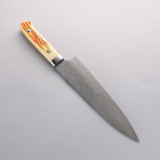 Takeshi Saji SG2 Diamond Finish Damascus Gyuto 210mm Orange Cow Bone Handle - Seisuke Knife