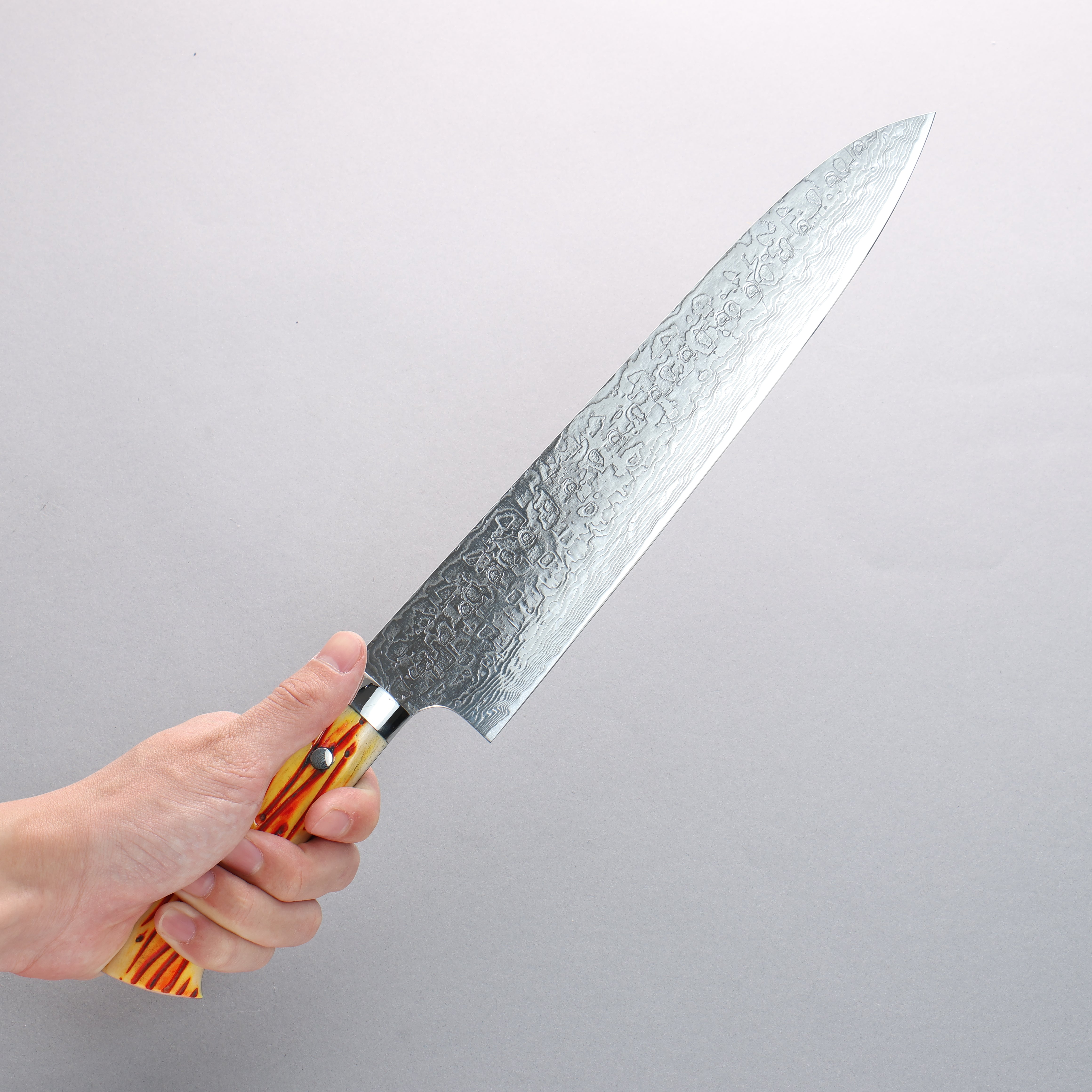 Takeshi Saji SG2 Diamond Finish Damascus Gyuto 270mm Orange Cow Bone Handle - Seisuke Knife