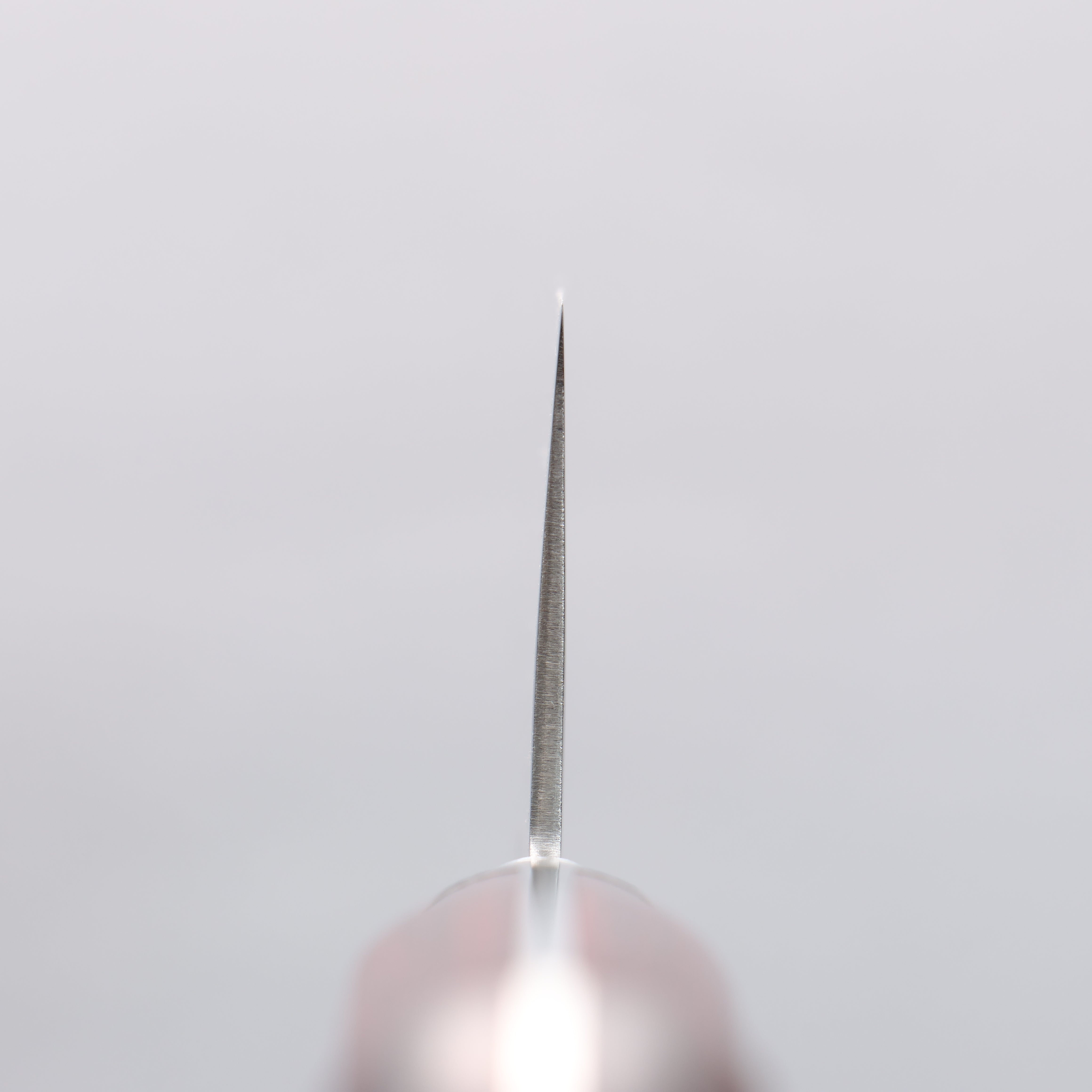 Seisuke VG10 33 Layer Mirror Finish Damascus Kiritsuke Gyuto 210mm Red Pakkawood Handle - Seisuke Knife