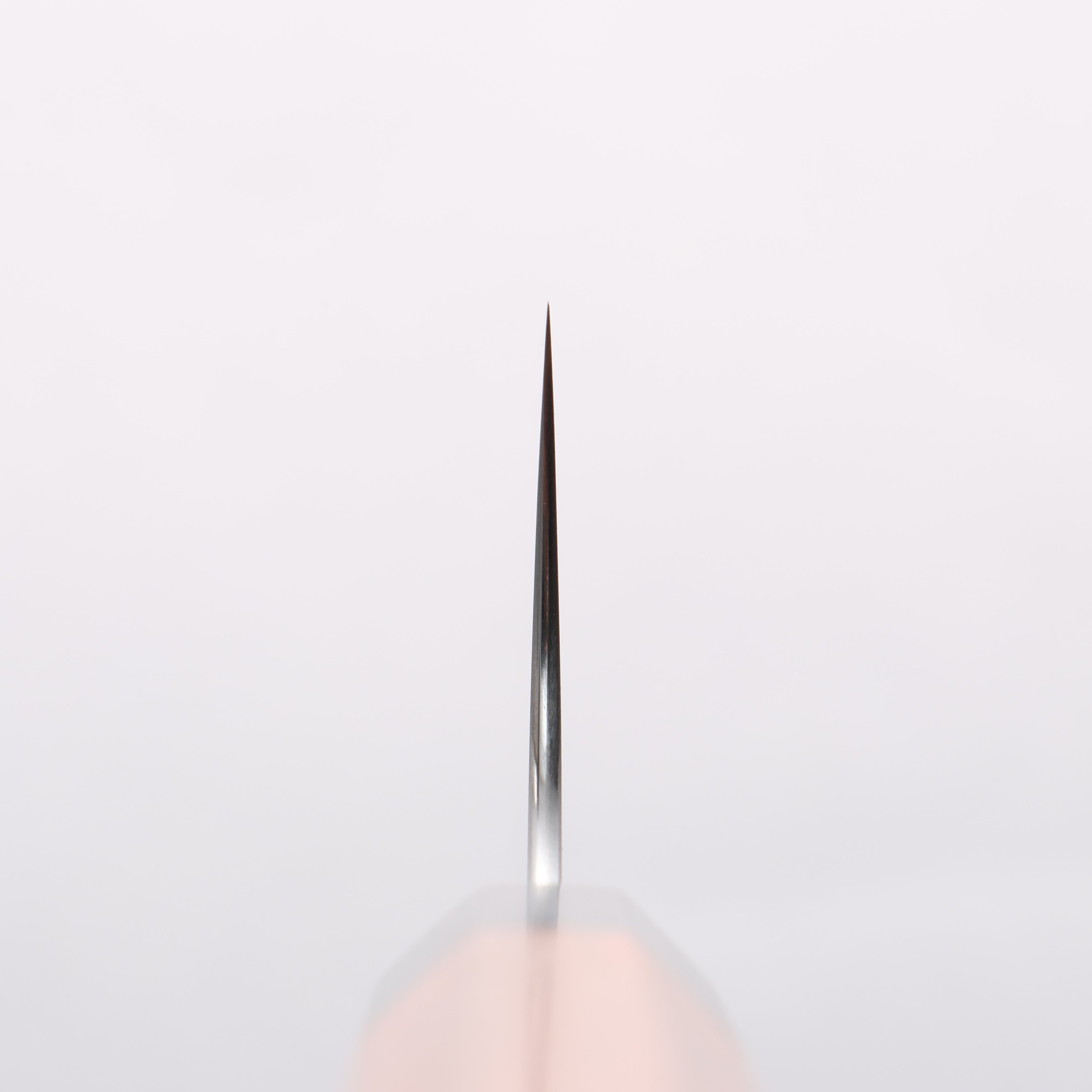 Shibata Takayuki Koutetsu SG2 Gyuto 210mm Jarrah Handle - Seisuke Knife