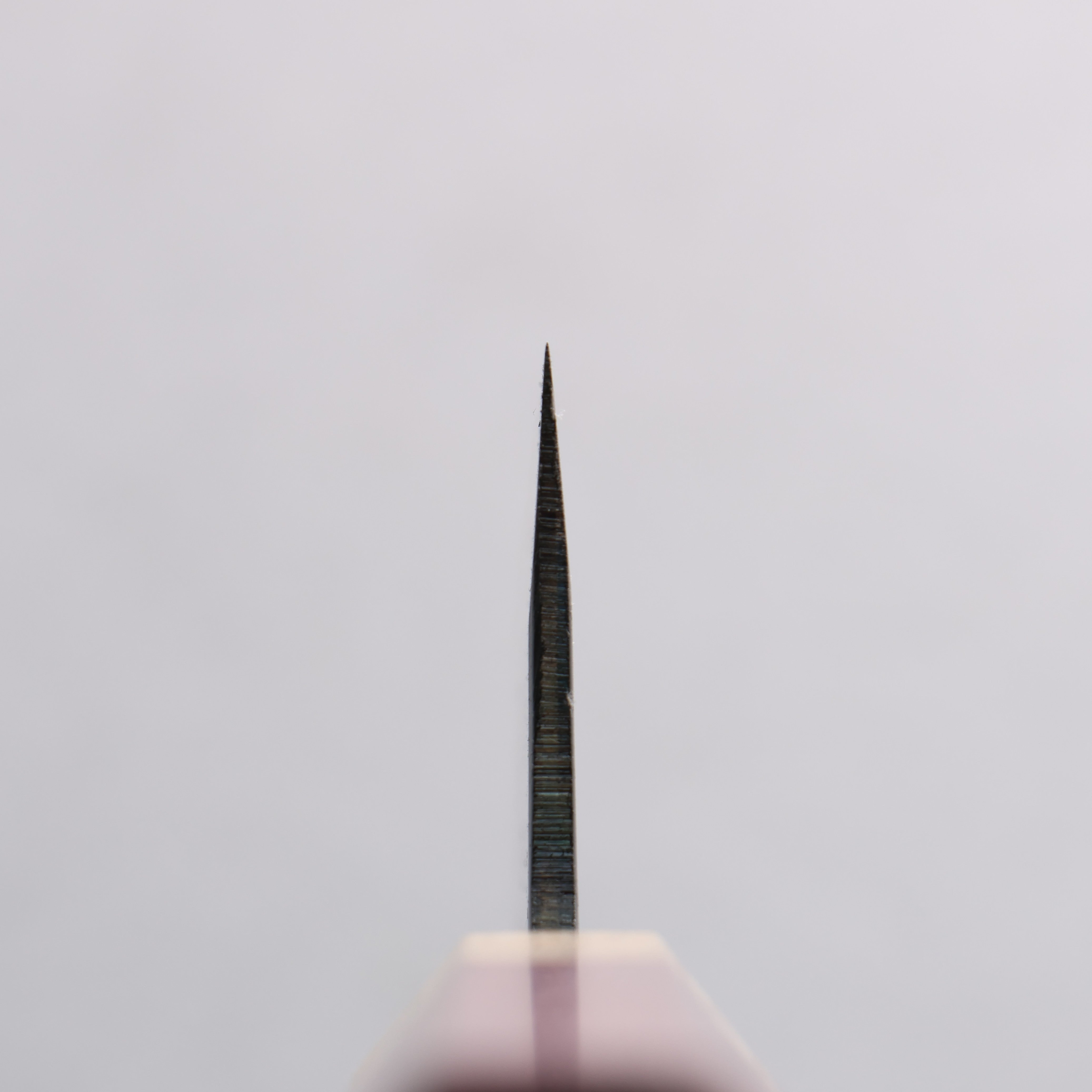 Seisuke Blue Super Black Finished Bunka 180mm Purpleheart (Ferrule: Oak) Handle - Seisuke Knife