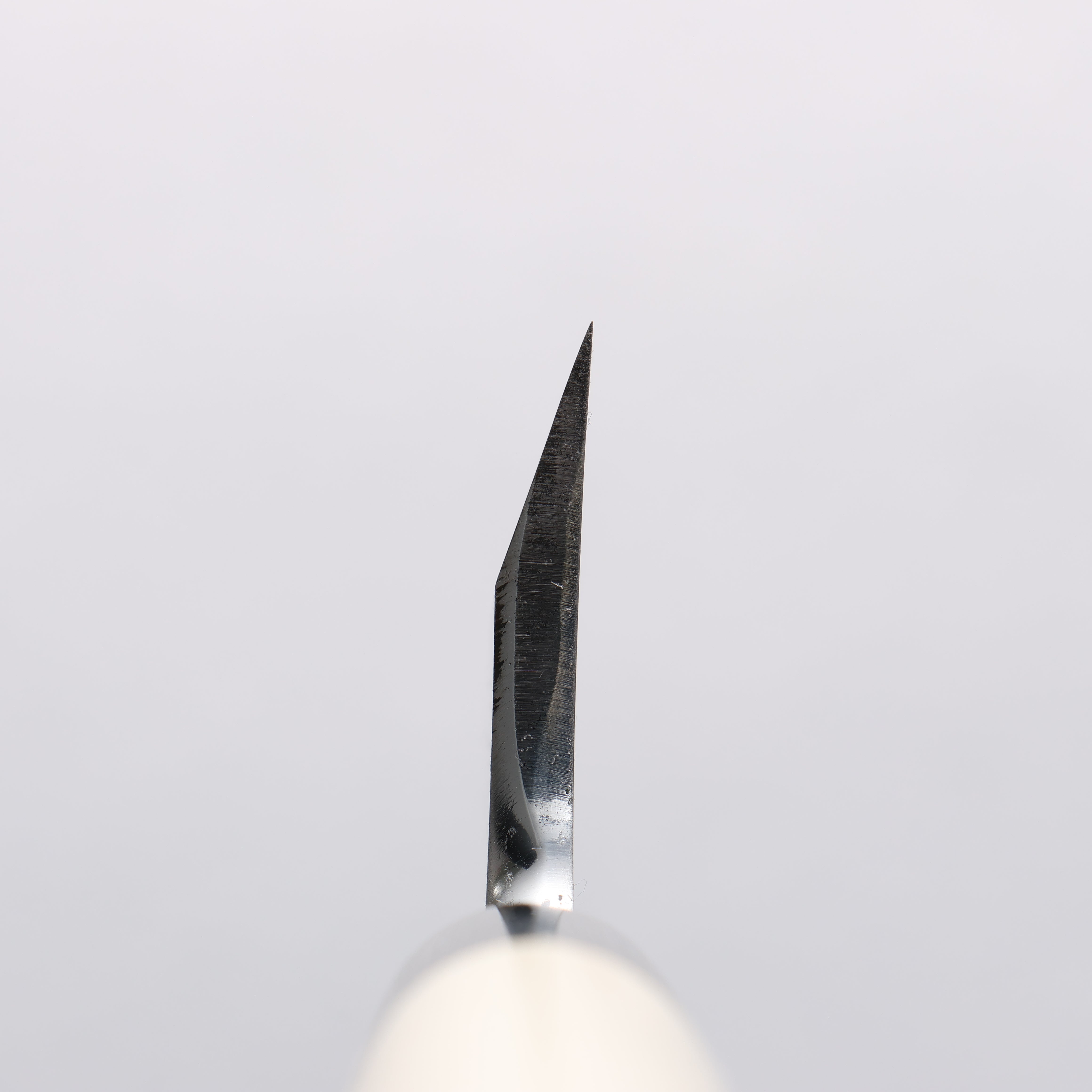 Sakai Takayuki Tokujyo White Steel No.2 Garasuki Boning 180mm Magnolia Handle - Seisuke Knife