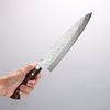 Takeshi Saji VG10 Hammered Damascus Cross Gyuto 240mm Ironwood Handle - Seisuke Knife - Slide 4