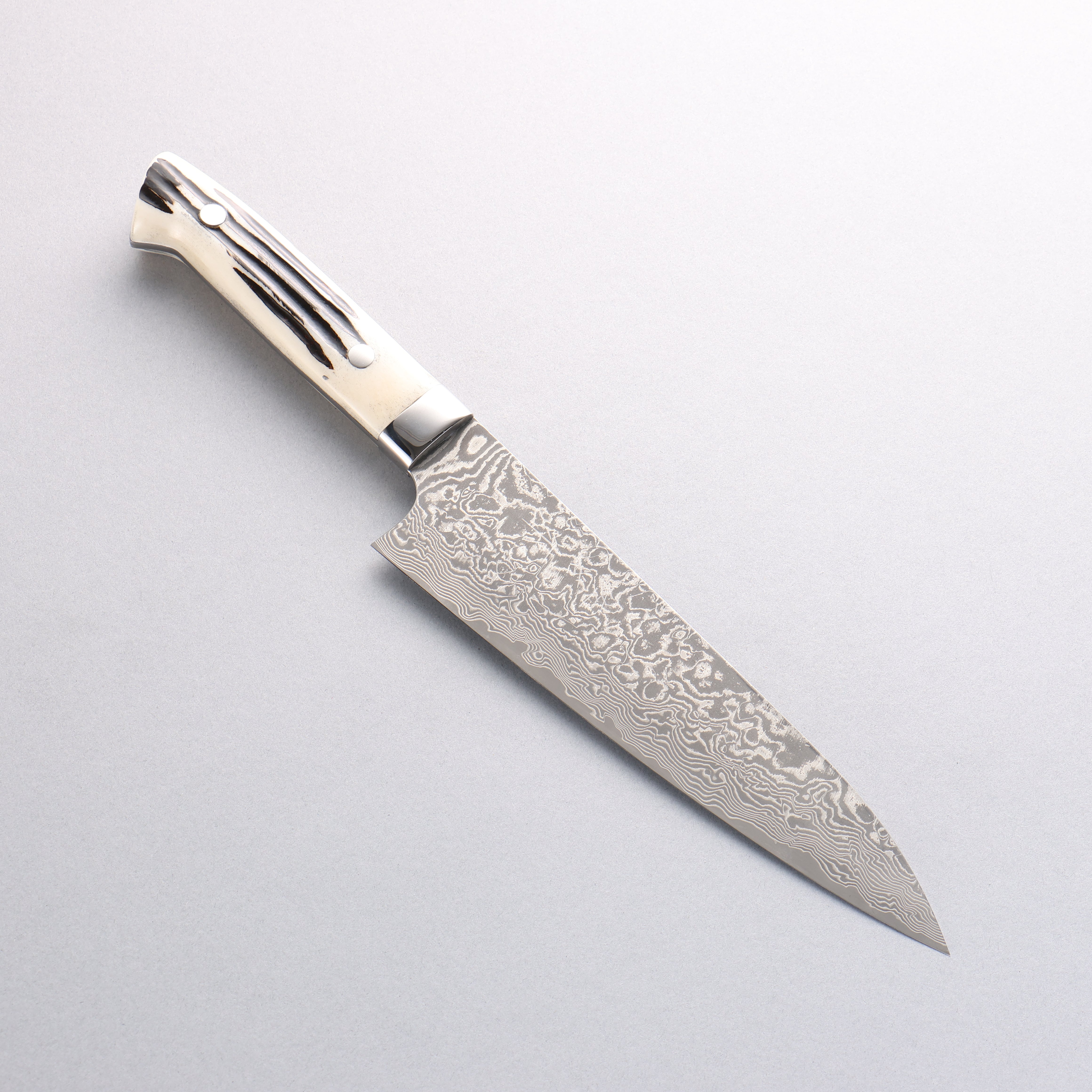 Takeshi Saji SG2 Black Damascus Gyuto 180mm White Deer Horn Handle - Seisuke Knife