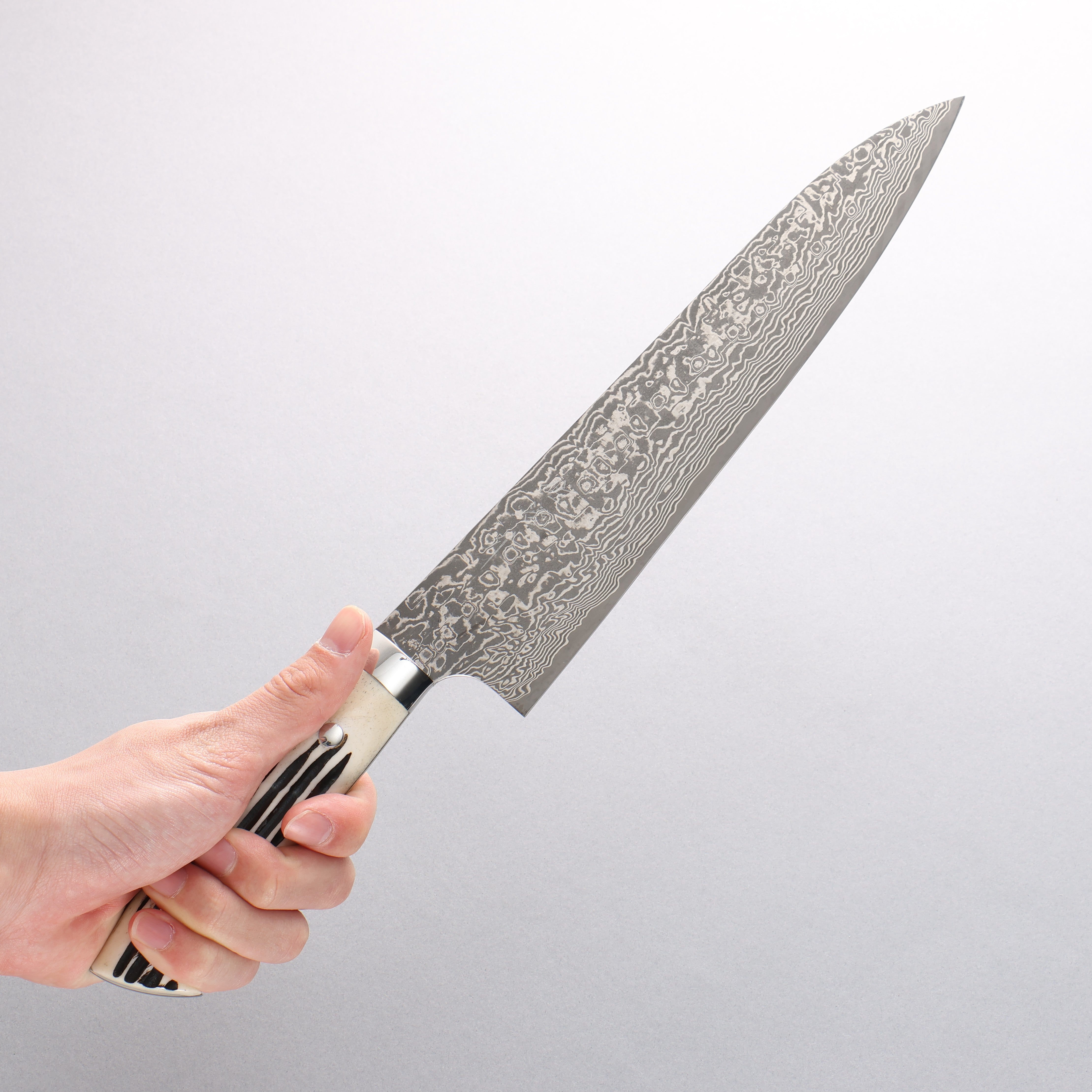 Takeshi Saji SG2 Black Damascus Gyuto 240mm White Deer Horn Handle - Seisuke Knife