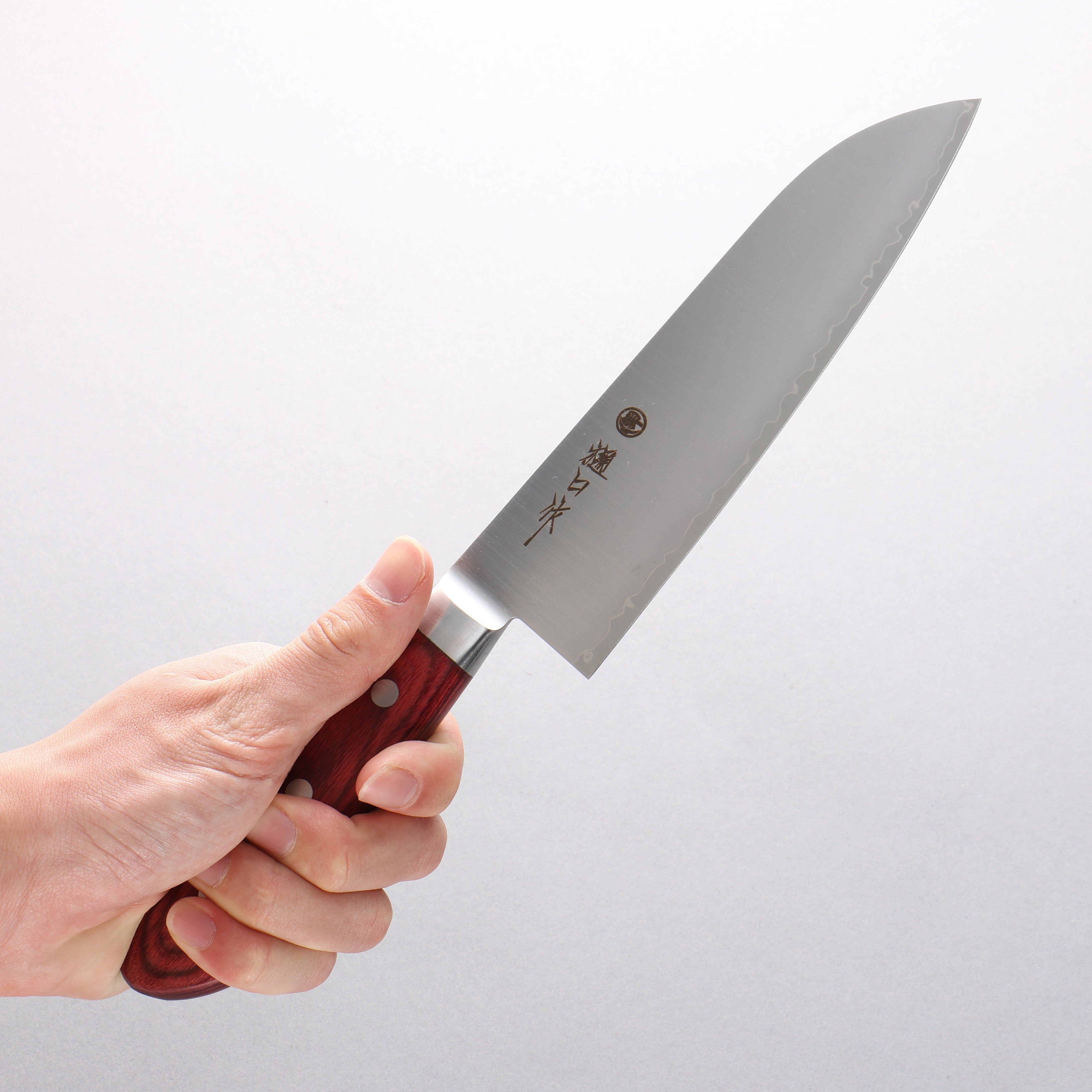 Higuchi SG2 Santoku 180mm Red Pakkawood Handle - Seisuke Knife