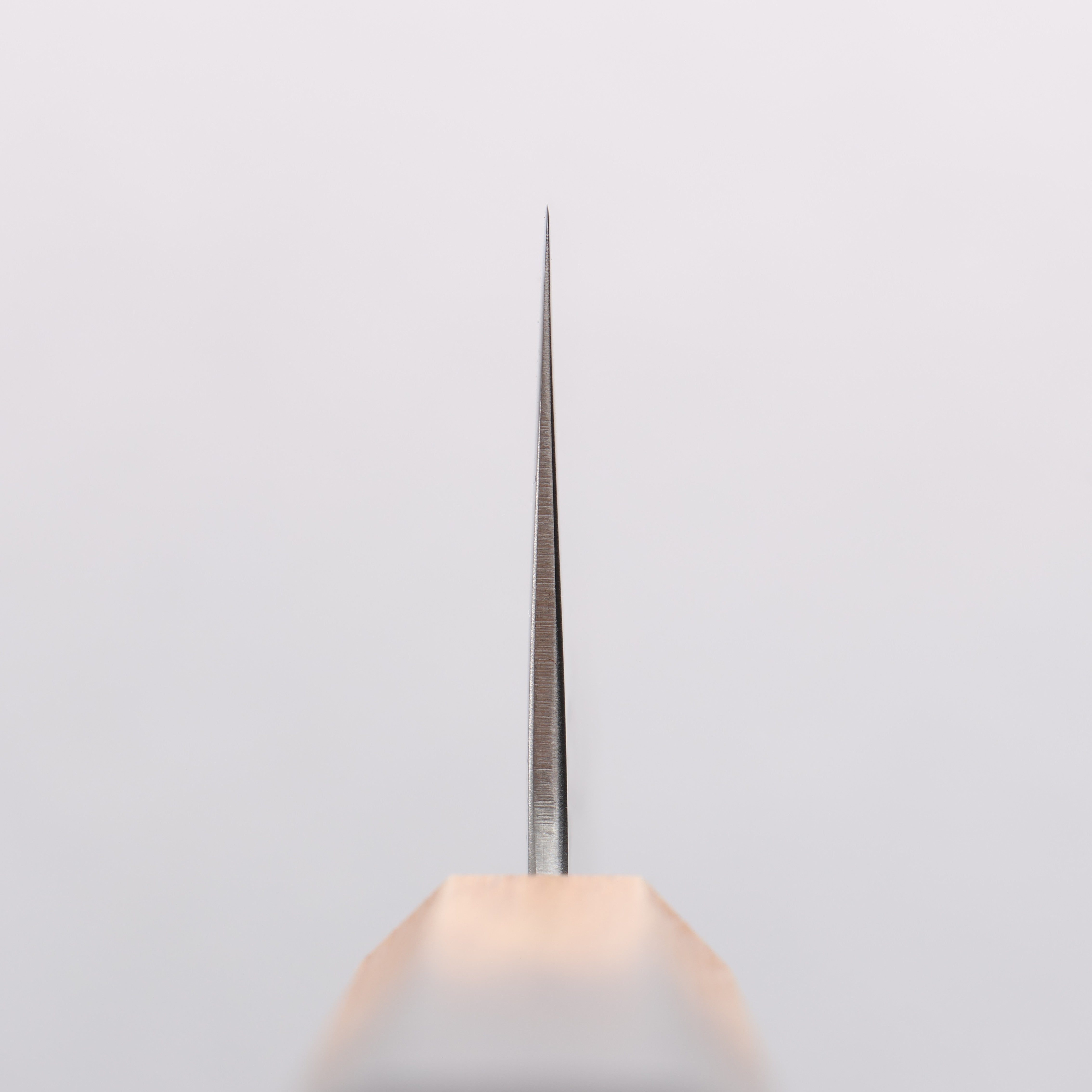 Seisuke SLD Washiji Nakiri 165mm Burnt Oak Handle - Seisuke Knife