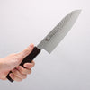 Sakai Takayuki Nanairo VG10 33 Layer Santoku 180mm ABS resin(Tortoiseshell) Handle - Slide 14