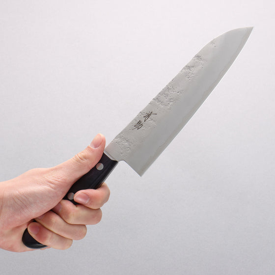 Seisuke Budou Silver Steel No.3 Nashiji Santoku 180mm Purple Pakka wood Handle - Seisuke Knife