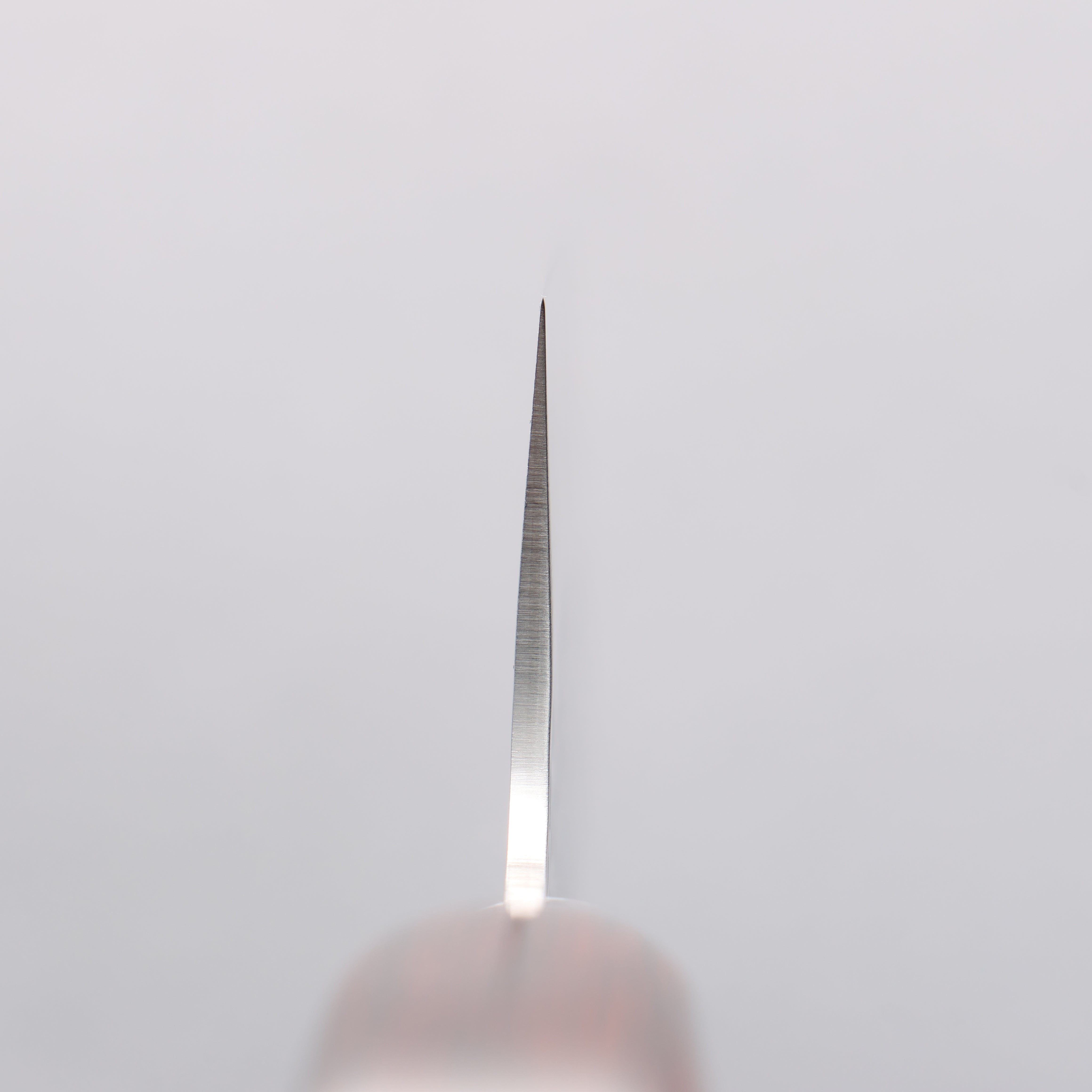 Sakai Takayuki VG10 33 Layer Damascus Butcher 210mm Mahogany Pakka wood Handle - Seisuke Knife
