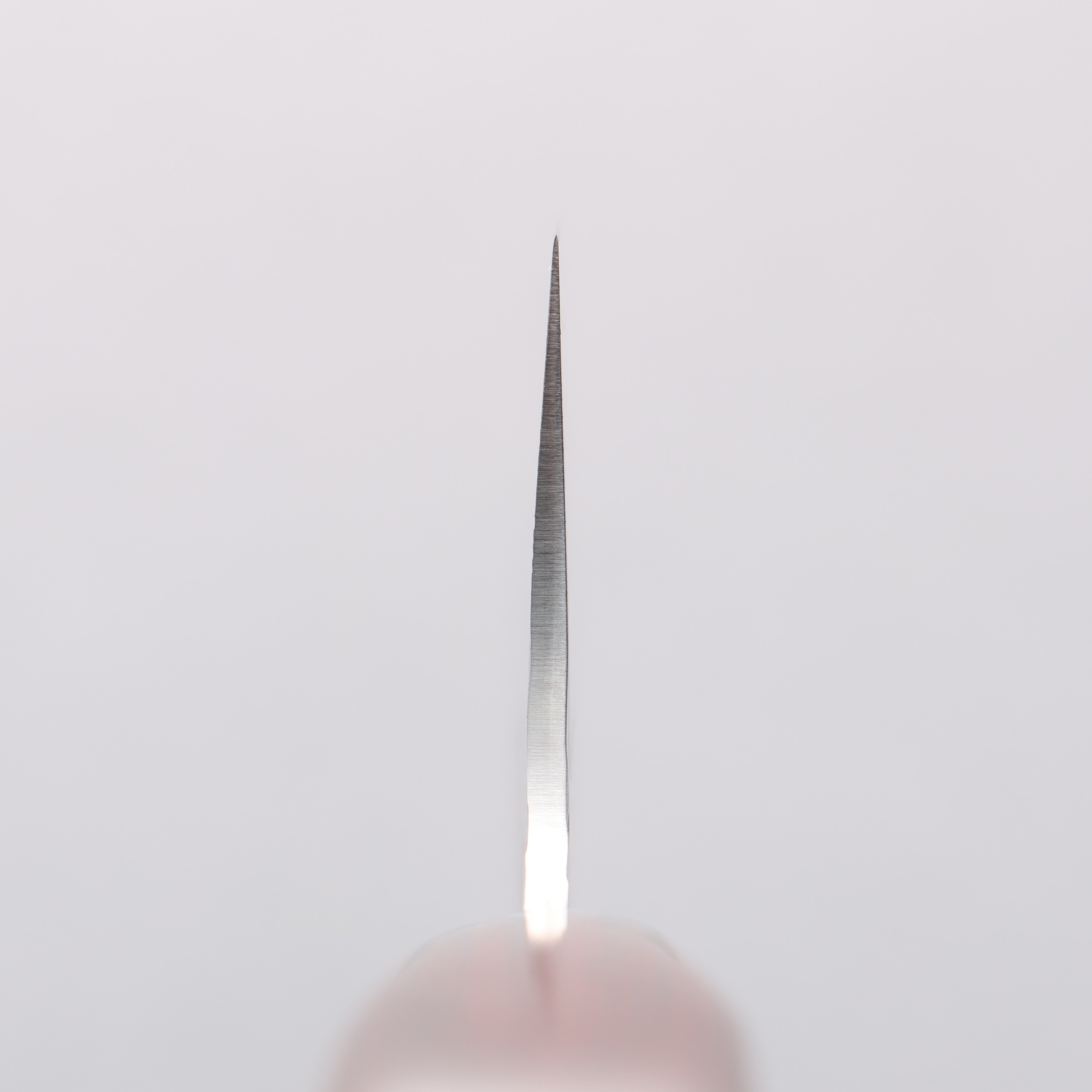 Sakai Takayuki VG10 33 Layer Damascus Gyuto 210mm Mahogany Handle - Seisuke Knife