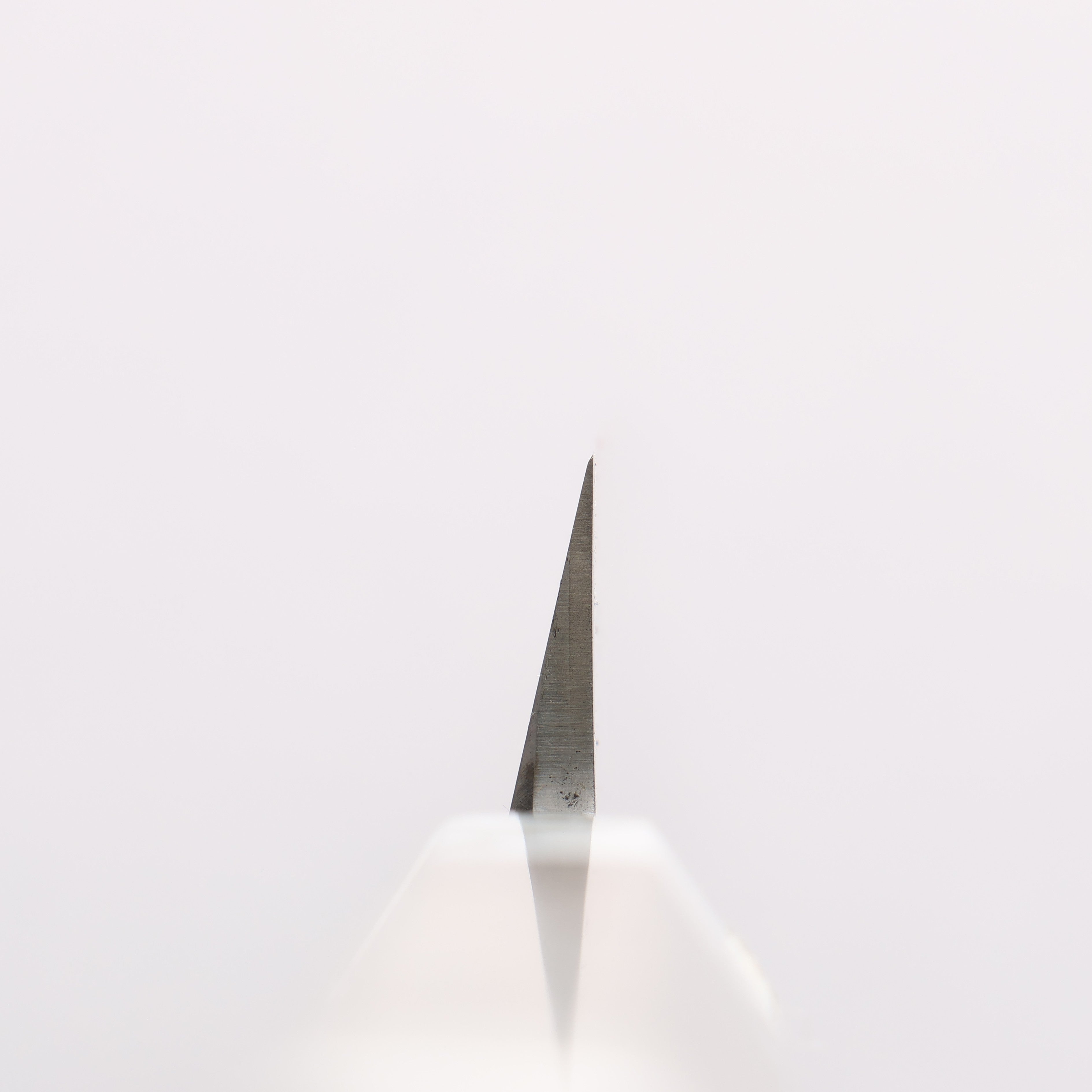 Sakai Takayuki Chef Series Silver Steel No.3 Yanagiba 300mm Stabilized wood (White Ferrule and End Cap) Handle with Sheath - Seisuke Knife