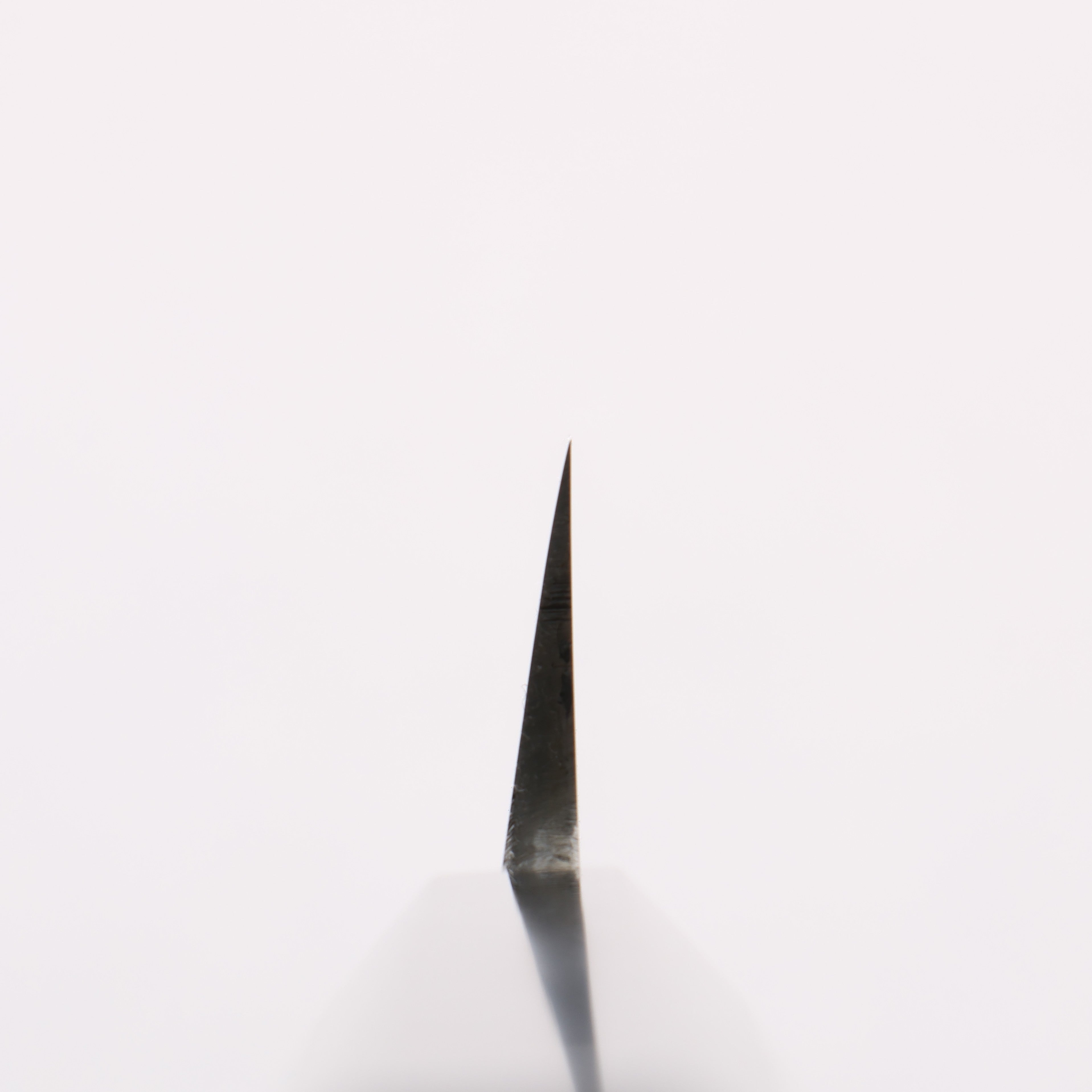 Minamoto Akitada Blue Steel No.2 Yanagiba 300mm Ebony Wood Handle - Seisuke Knife