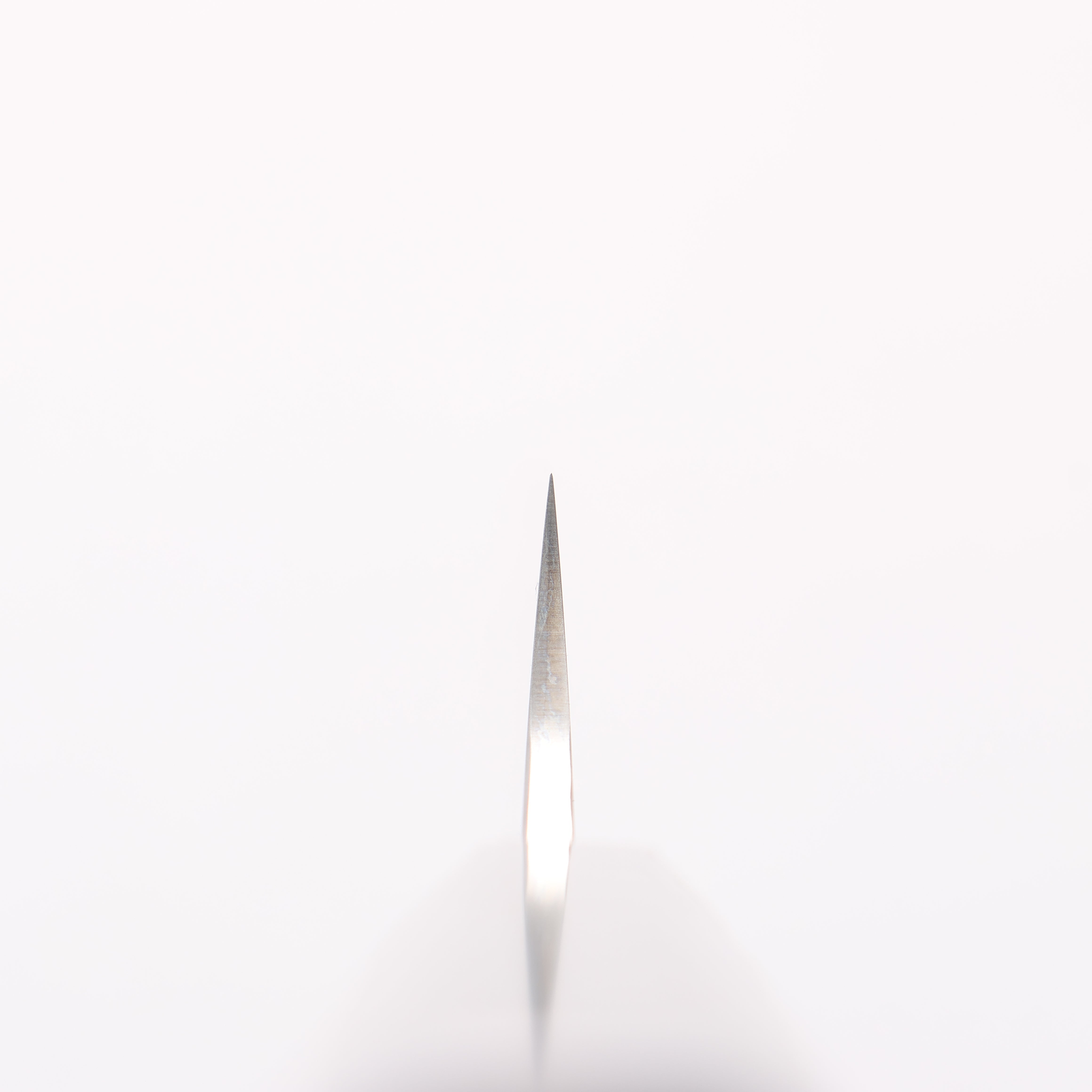 Sakai Takayuki Hien Silver Steel No.3 Kengata Sujihiki 270mm Ebony Woo