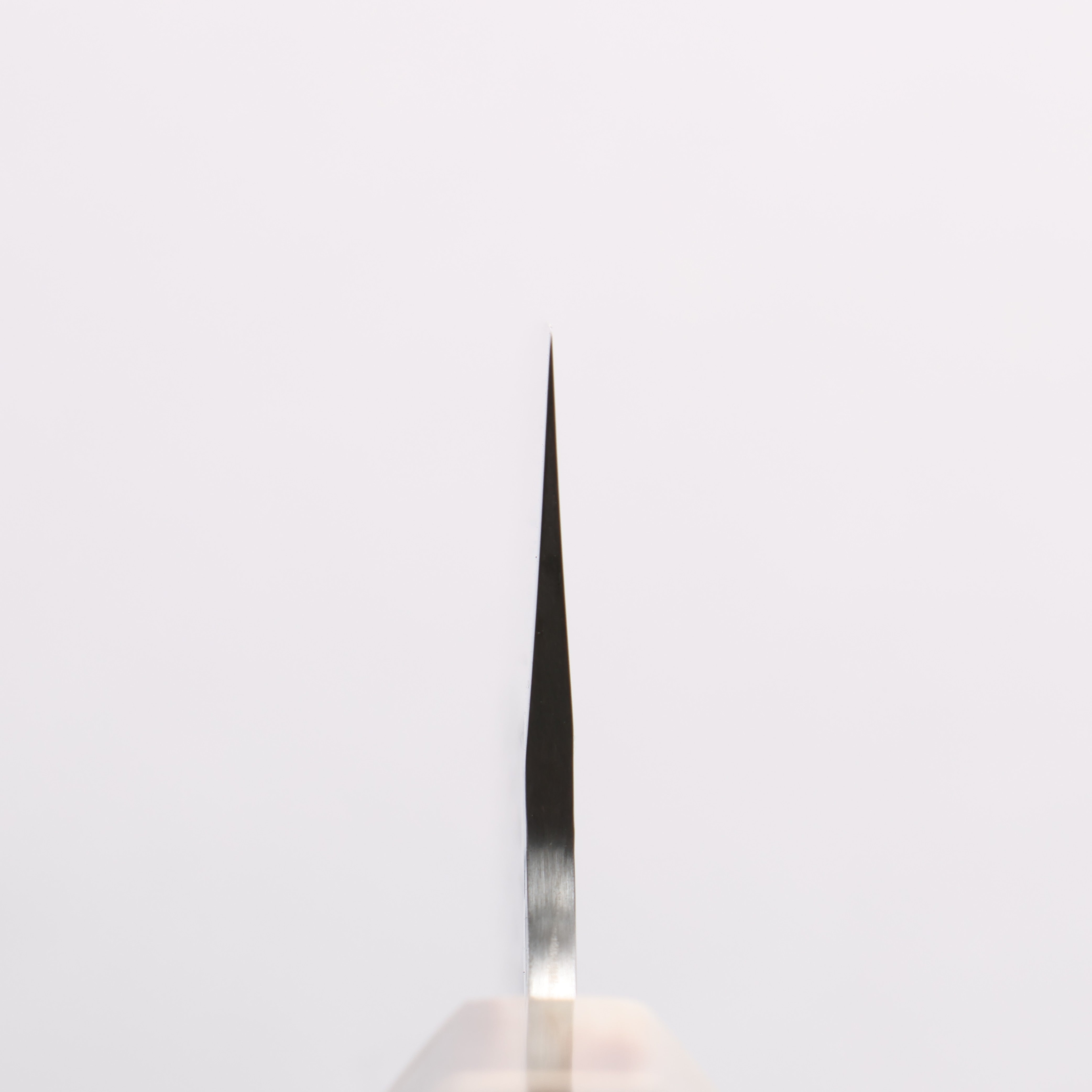Takeshi Saji SPG STRIX Hammered Migaki Finished Santoku 170mm Ebony Wood (ferrule: Marbled Water Buffalo Horn) Handle - Seisuke Knife