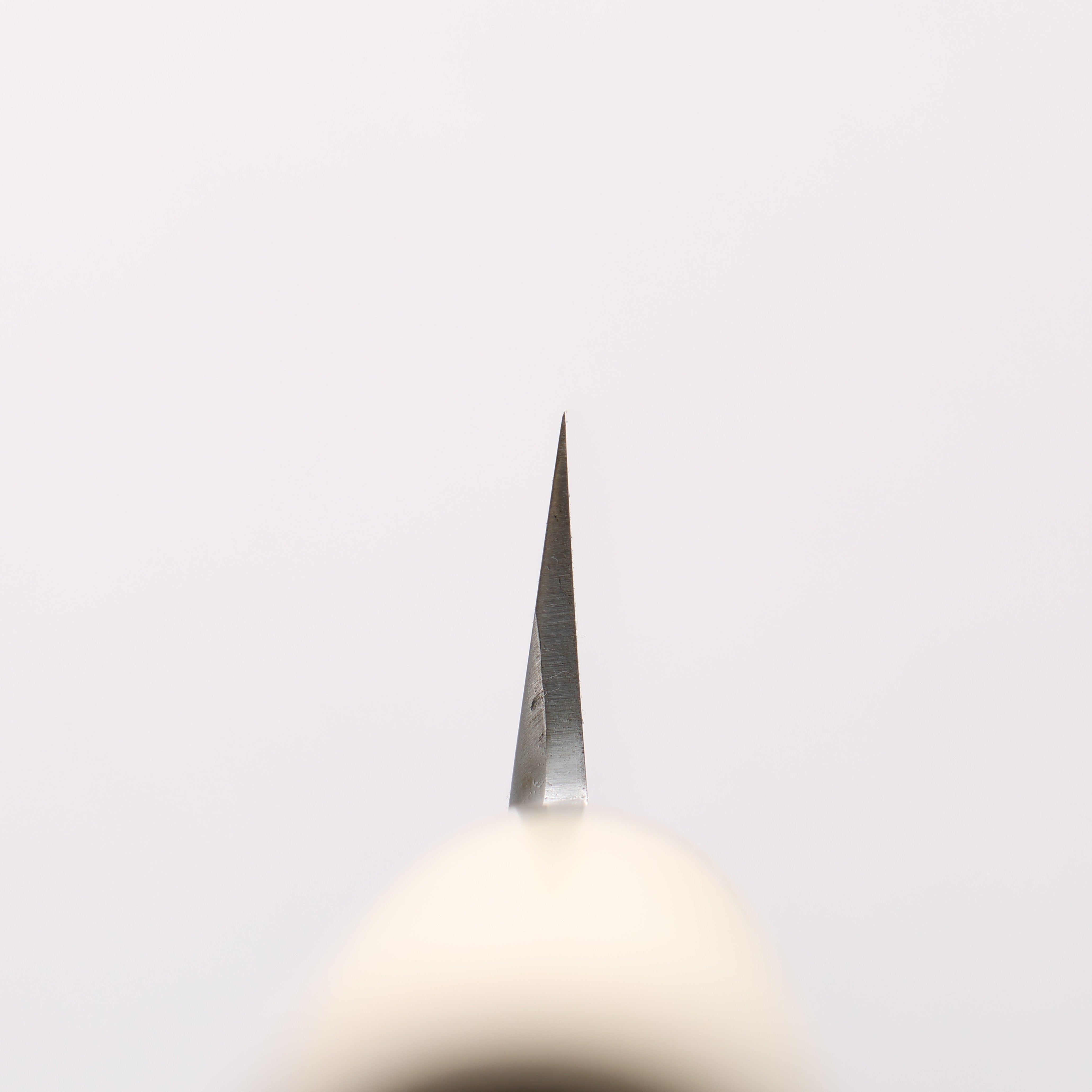 Sakai Takayuki Uzushio White Steel No.2 Yanagiba Magnolia Handle - Seisuke Knife