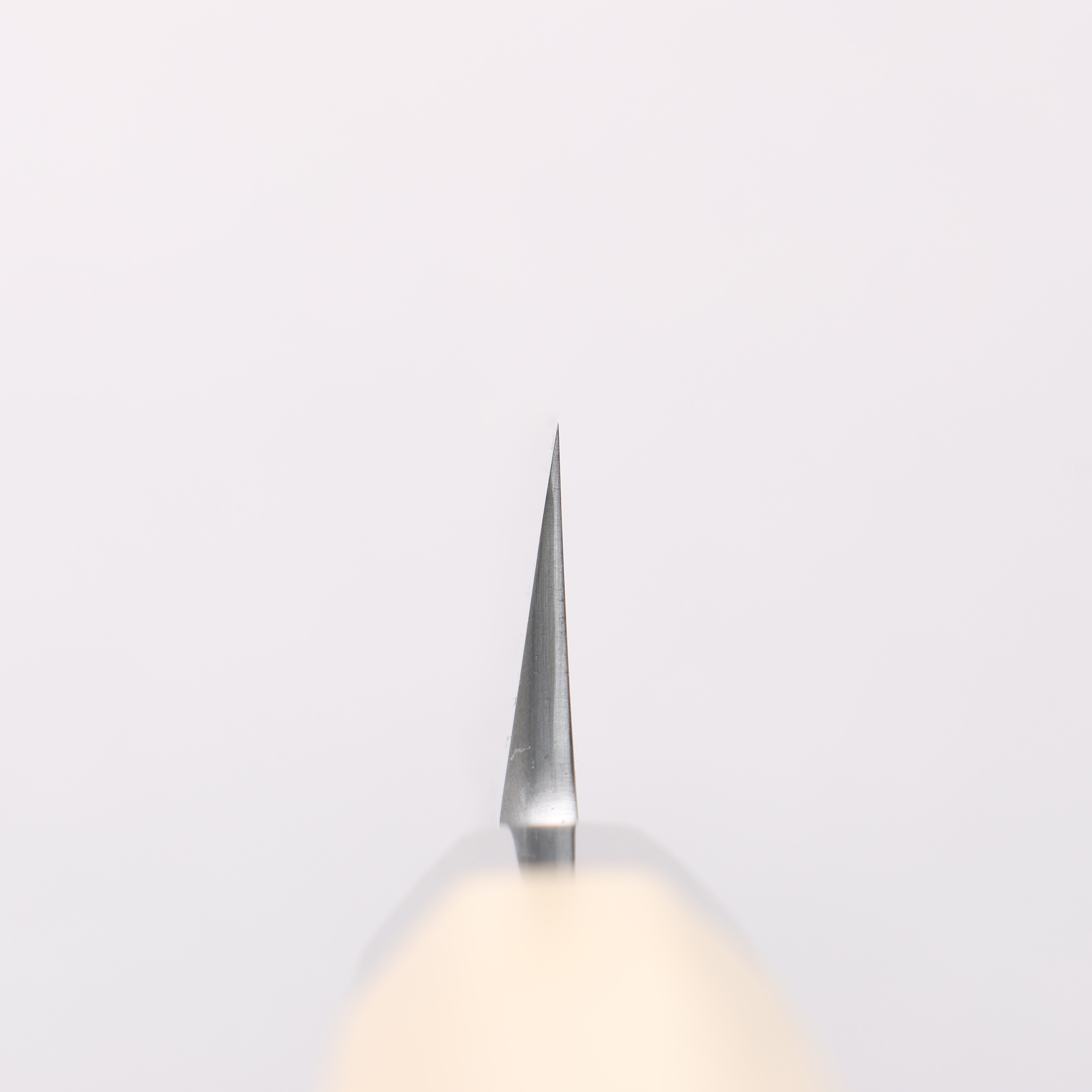 Kikuzuki White Steel No.2 Nashiji Yanagiba 300mm Magnolia Handle - Seisuke Knife