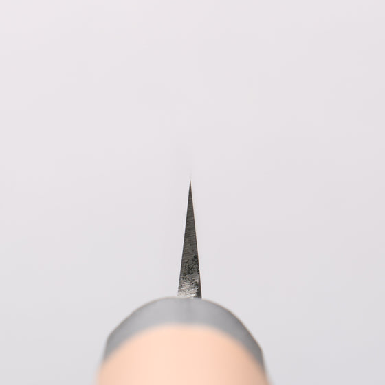 Sakai Takayuki [Left Handed] Molybdenum Yanagiba with PC Plastic Handle - Seisuke Knife