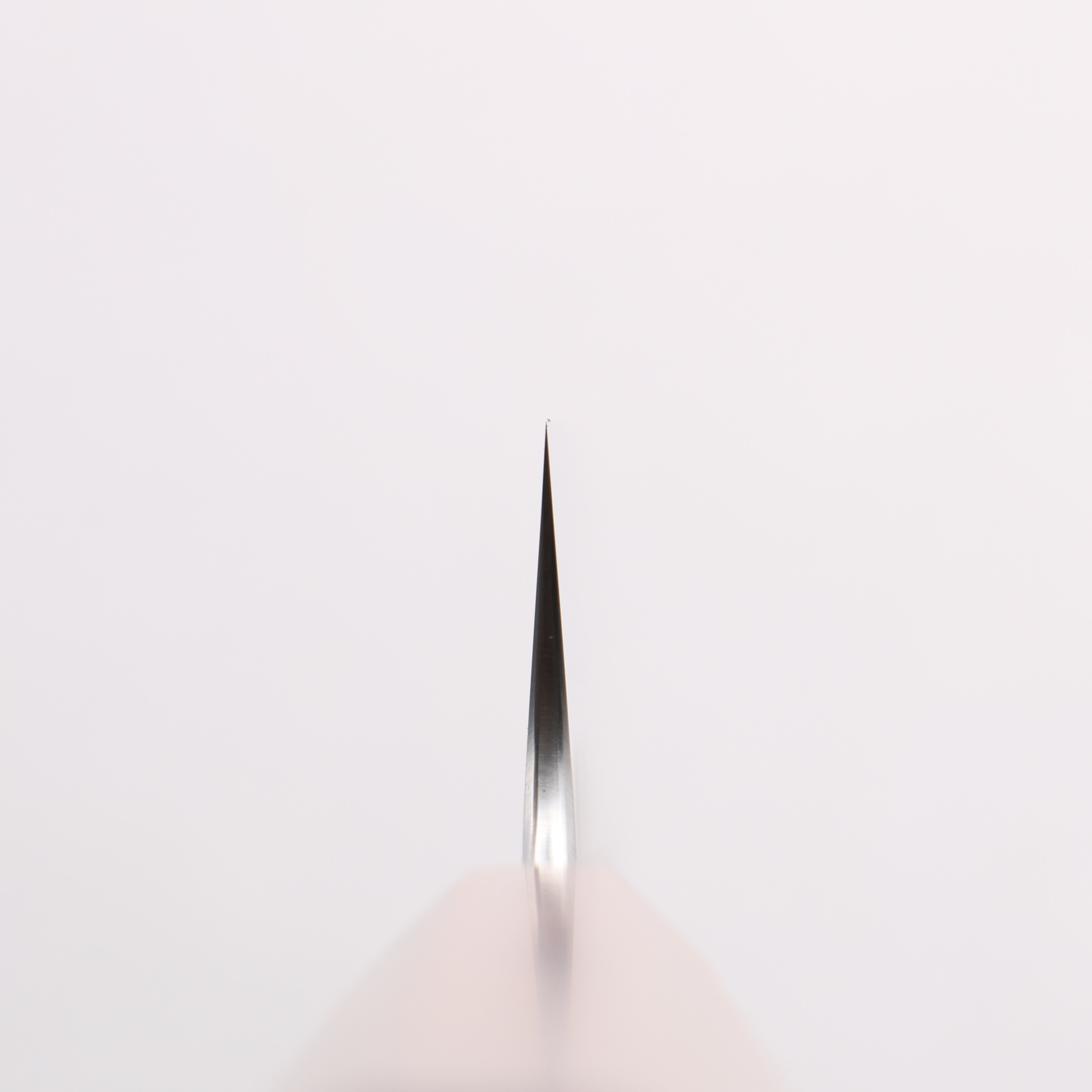 Ryusen Blazen Ryu Wa SG2 Hammered Kiritsuke Sujihiki 260mm Walnut Handle - Seisuke Knife