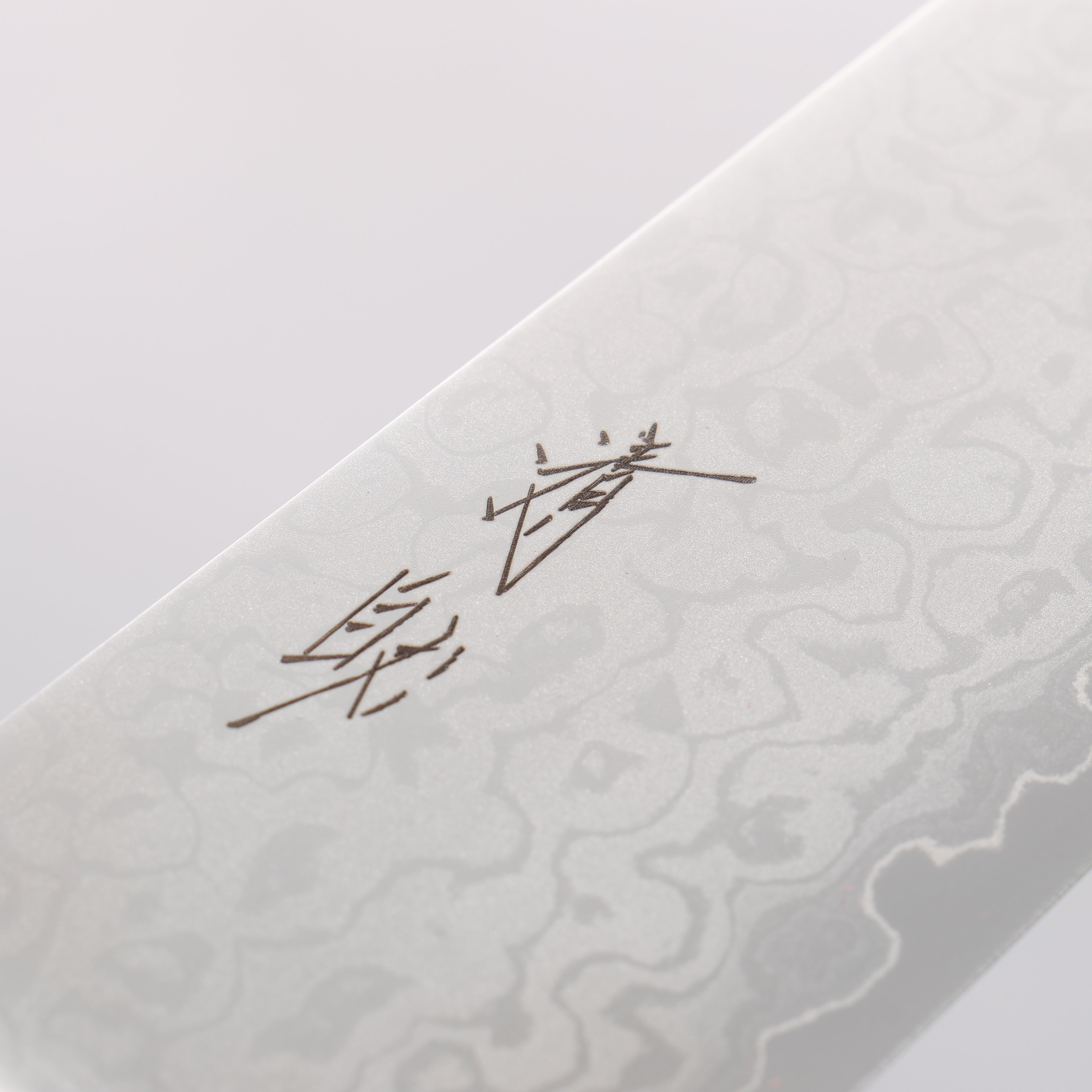 Seisuke VG10 8 Layer Damascus Migaki Finished Gyuto 210mm Black Pakka wood Handle - Seisuke Knife