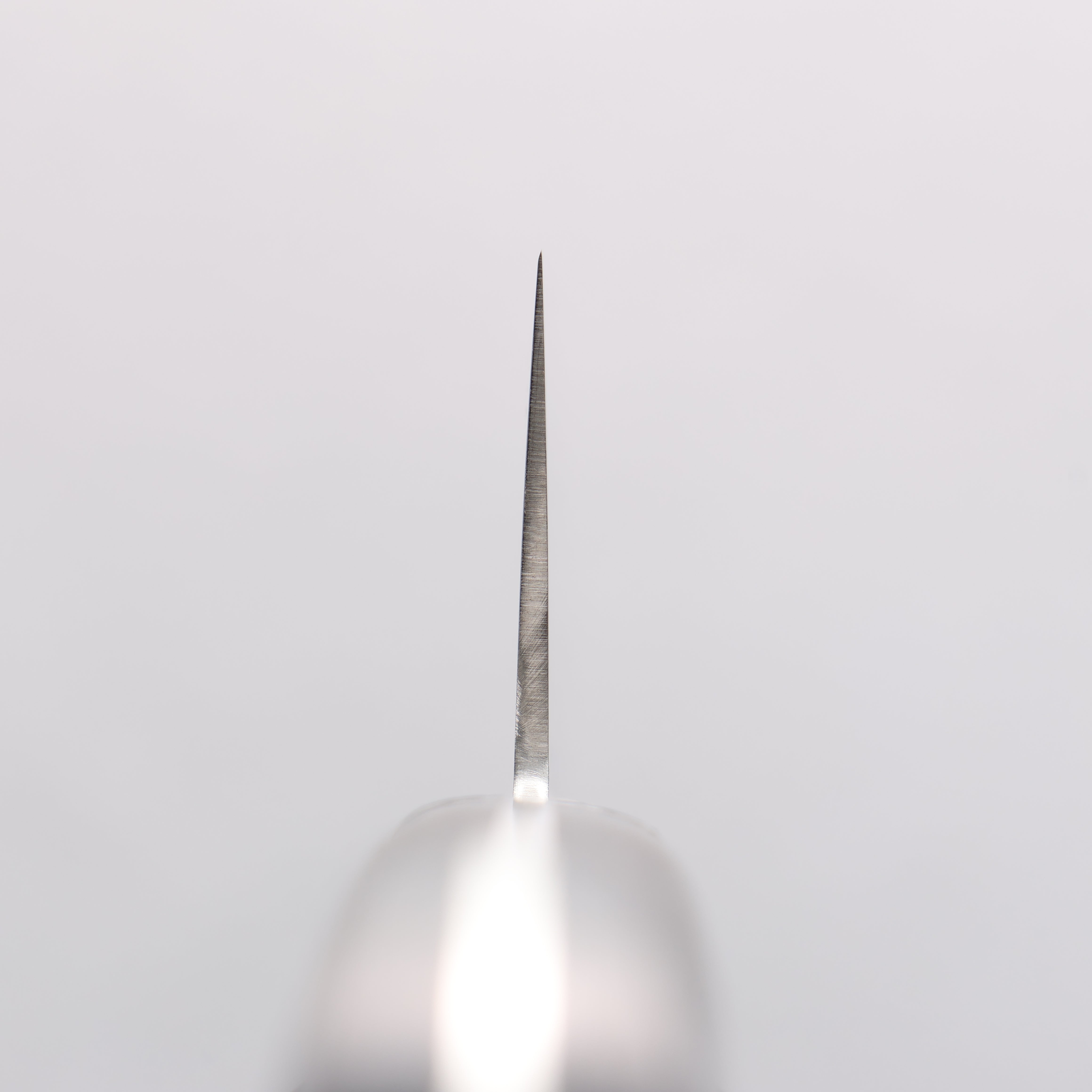 Seisuke VG10 8 Layer Damascus Migaki Santoku 165mm Black Pakkawood Handle - Seisuke Knife