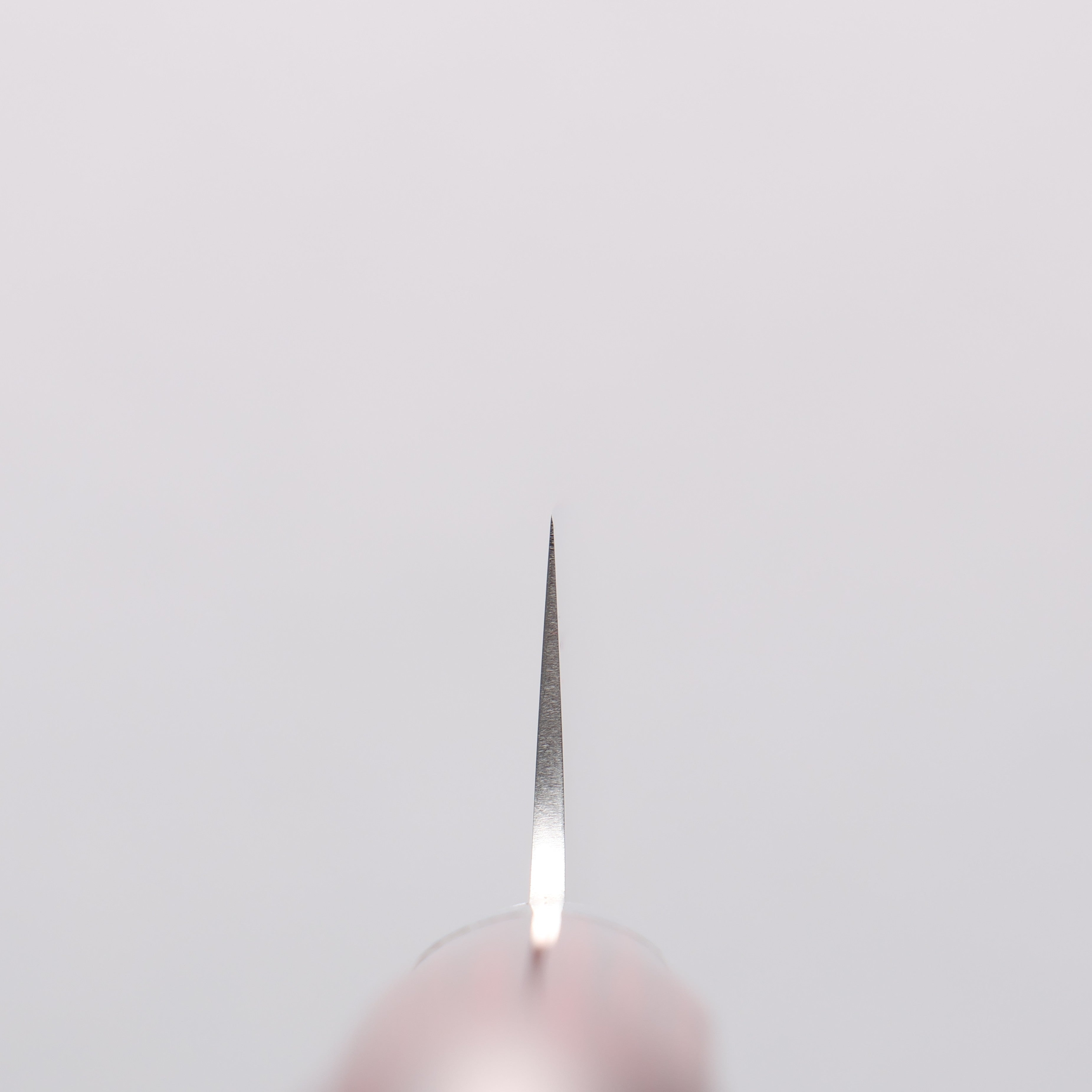 Takamura Knives SG2 Petty-Utility 130mm with Red Pakkawood Handle - Seisuke Knife