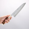 Yu Kurosaki Shizuku SG2 Hammered Gyuto 210mm Chinese Quince (White Ferrule and End Cap) Handle - Seisuke Knife - Slide 4