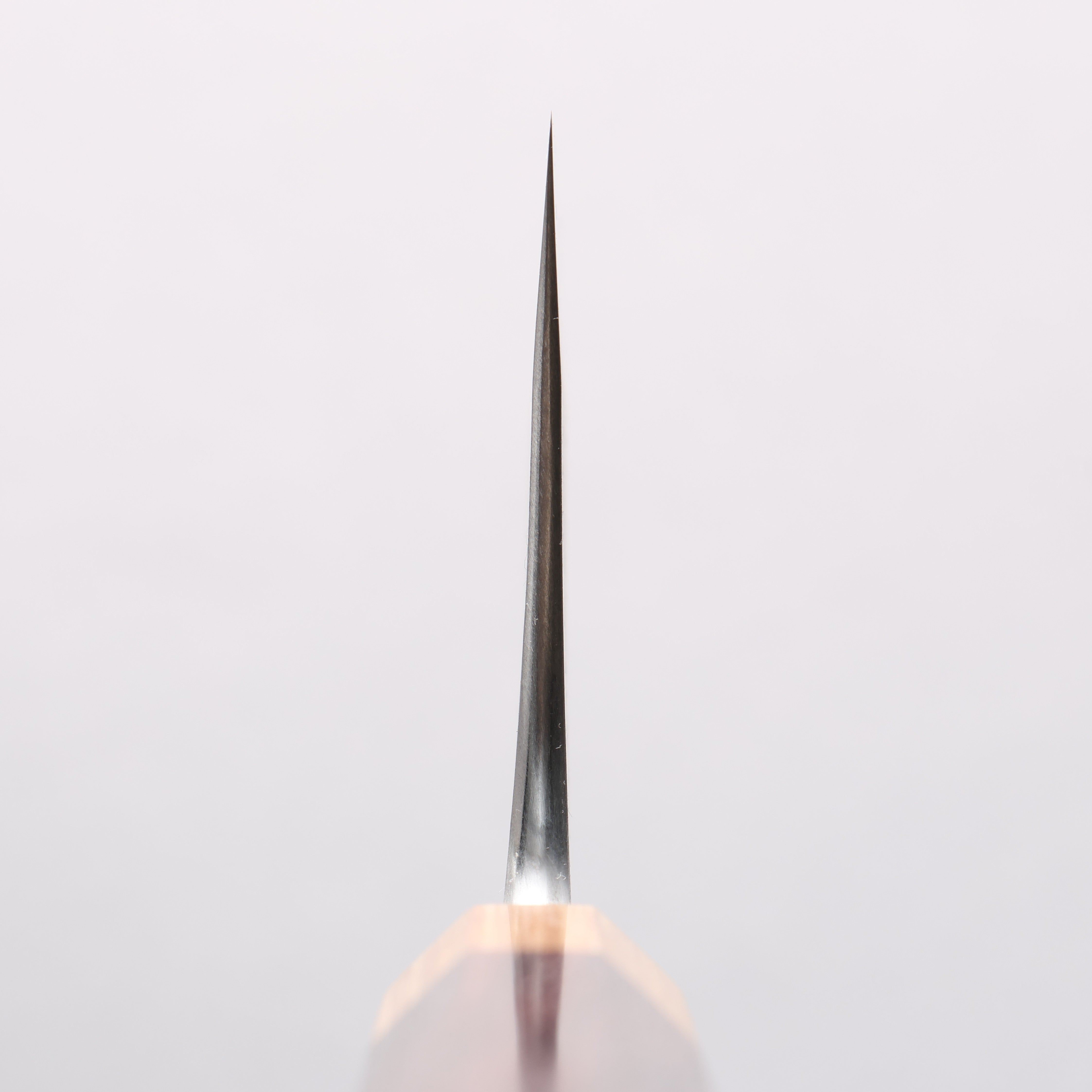 Tinker Blue Super Black Finished Chibi Tank 145mm Rosewood Handle - Seisuke Knife