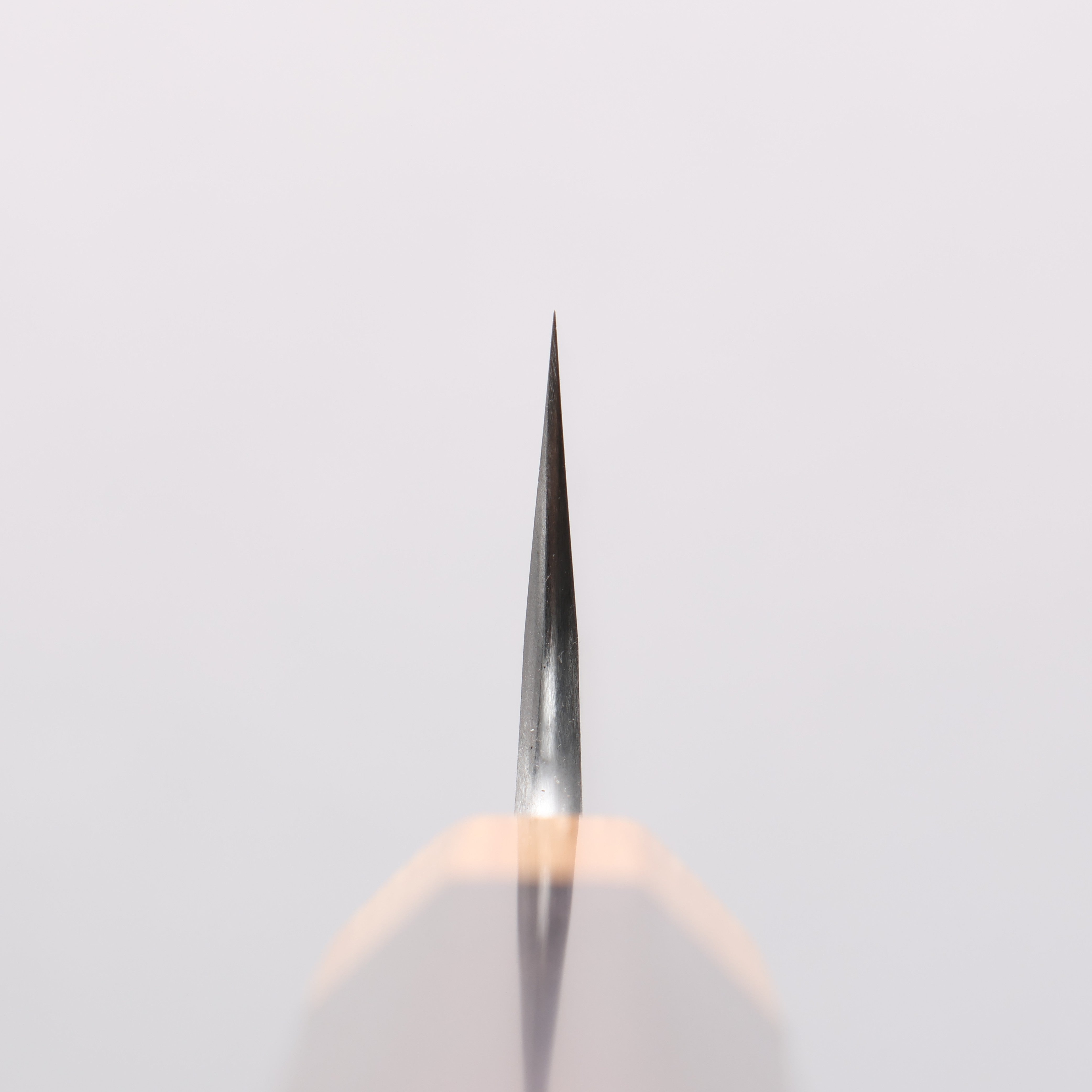 Tinker Blue Super Black Finished 210mm Rosewood Handle Sabre - Seisuke Knife