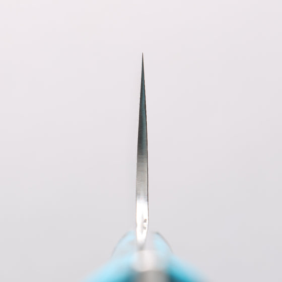 Takeshi Saji New Nomura Style SG2 Diamond Finish Damascus Gyuto 240mm Blue Turquoise Handle - Seisuke Knife