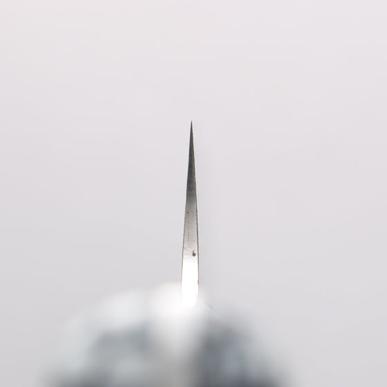 Takeshi Saji SG2 Diamond Finish Damascus Sujihiki 270mm White Turquoise Handle - Seisuke Knife