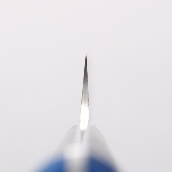 Takeshi Saji SG2 Diamond Finish Damascus Sujihiki 240mm Pine Cone and Blue Acrylic Handle - Seisuke Knife