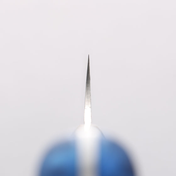 Takeshi Saji SG2 Diamond Finish Damascus Sakimaru Sujihiki 240mm Pine Cone and Blue Acrylic Handle - Seisuke Knife