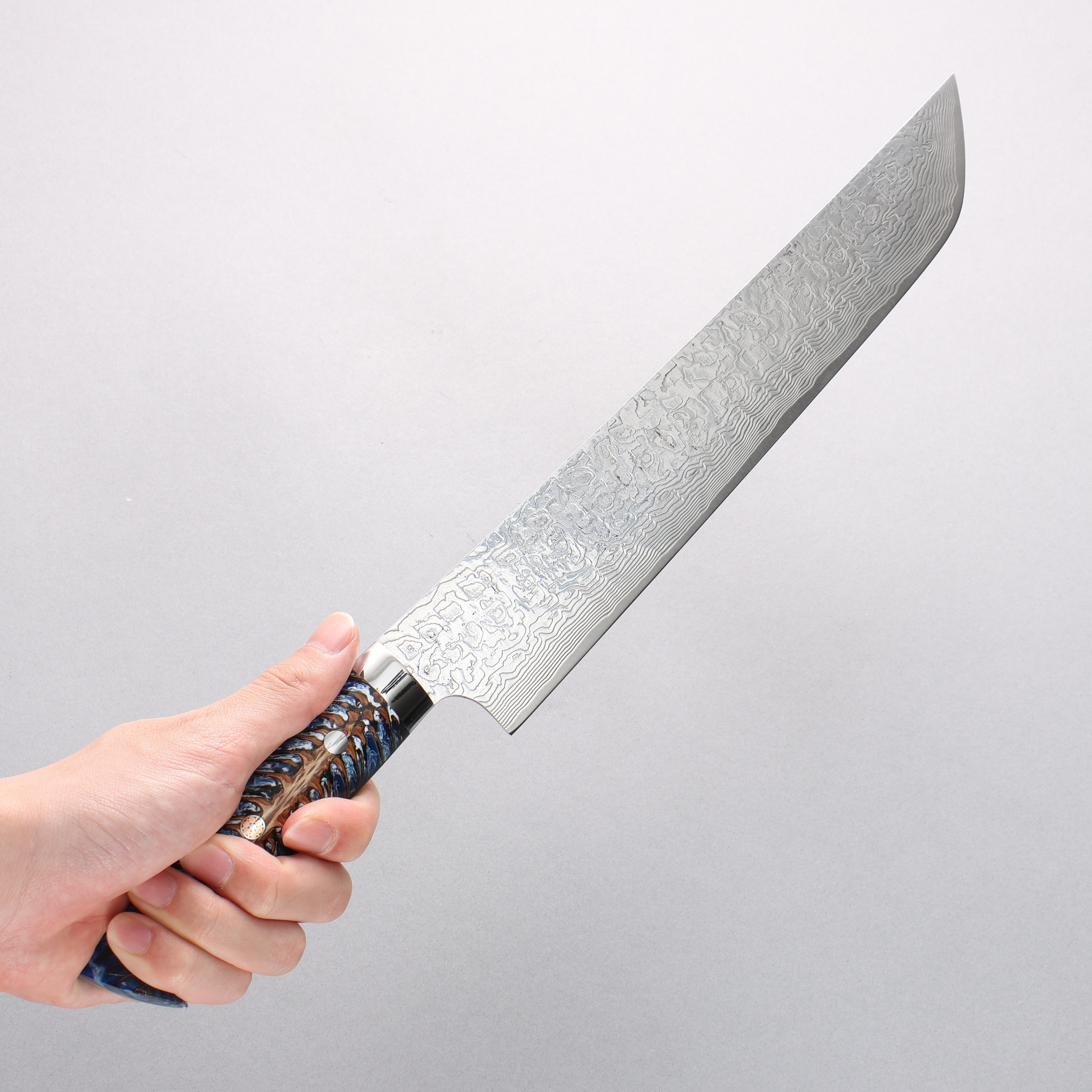 Takeshi Saji SG2 Diamond Finish Damascus Sakimaru Sujihiki 270mm Pine