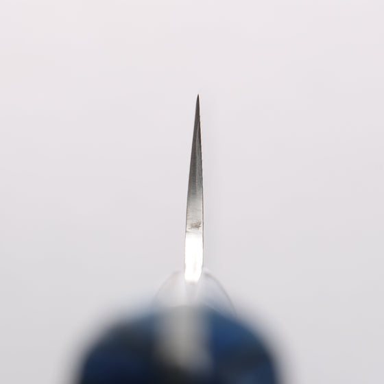 Takeshi Saji SG2 Diamond Finish Damascus Sakimaru Sujihiki 270mm Pine Cone and Blue Acrylic Handle - Seisuke Knife