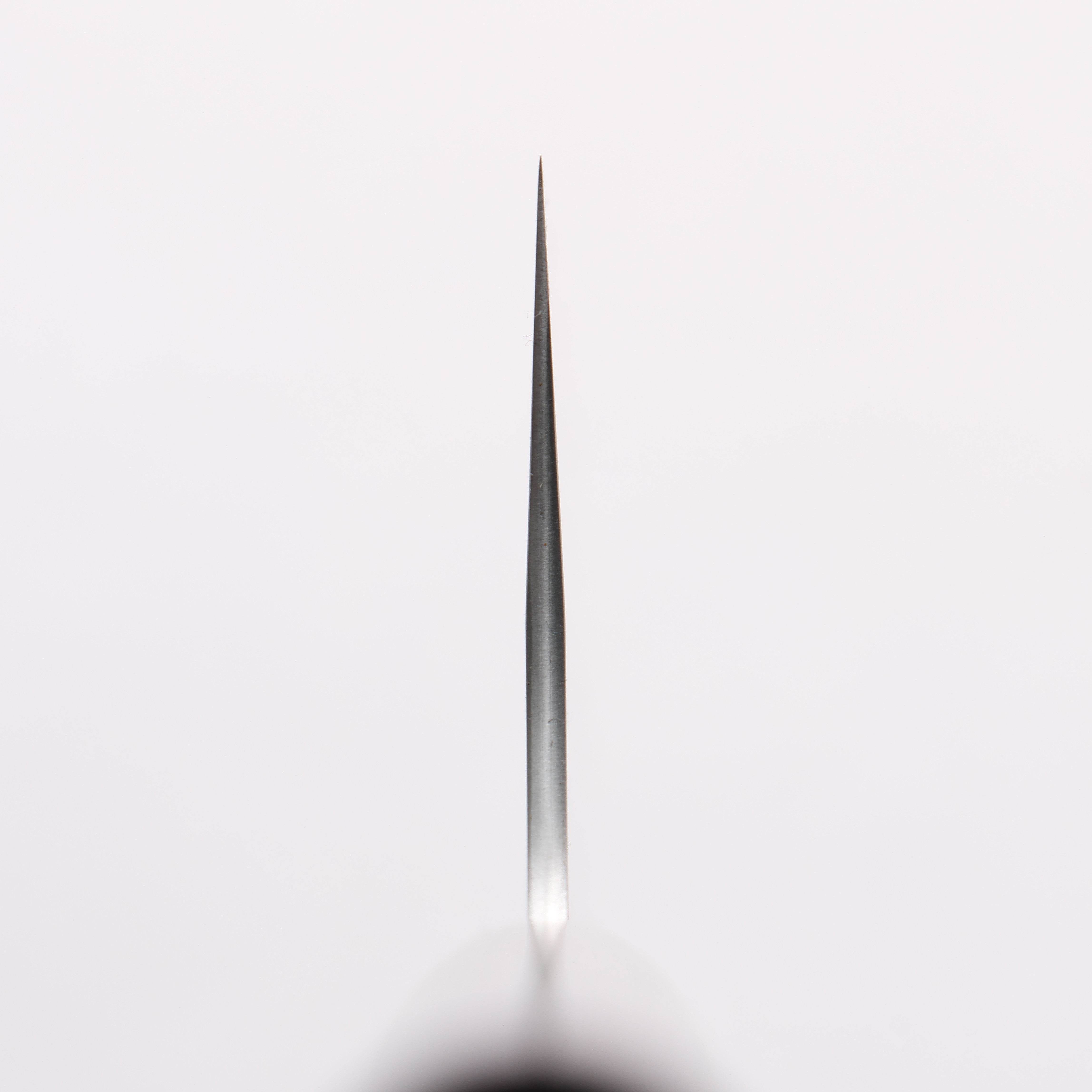 Shungo Ogata SG2 Togidashi Gyuto 240mm Rosewood Handle - Seisuke Knife