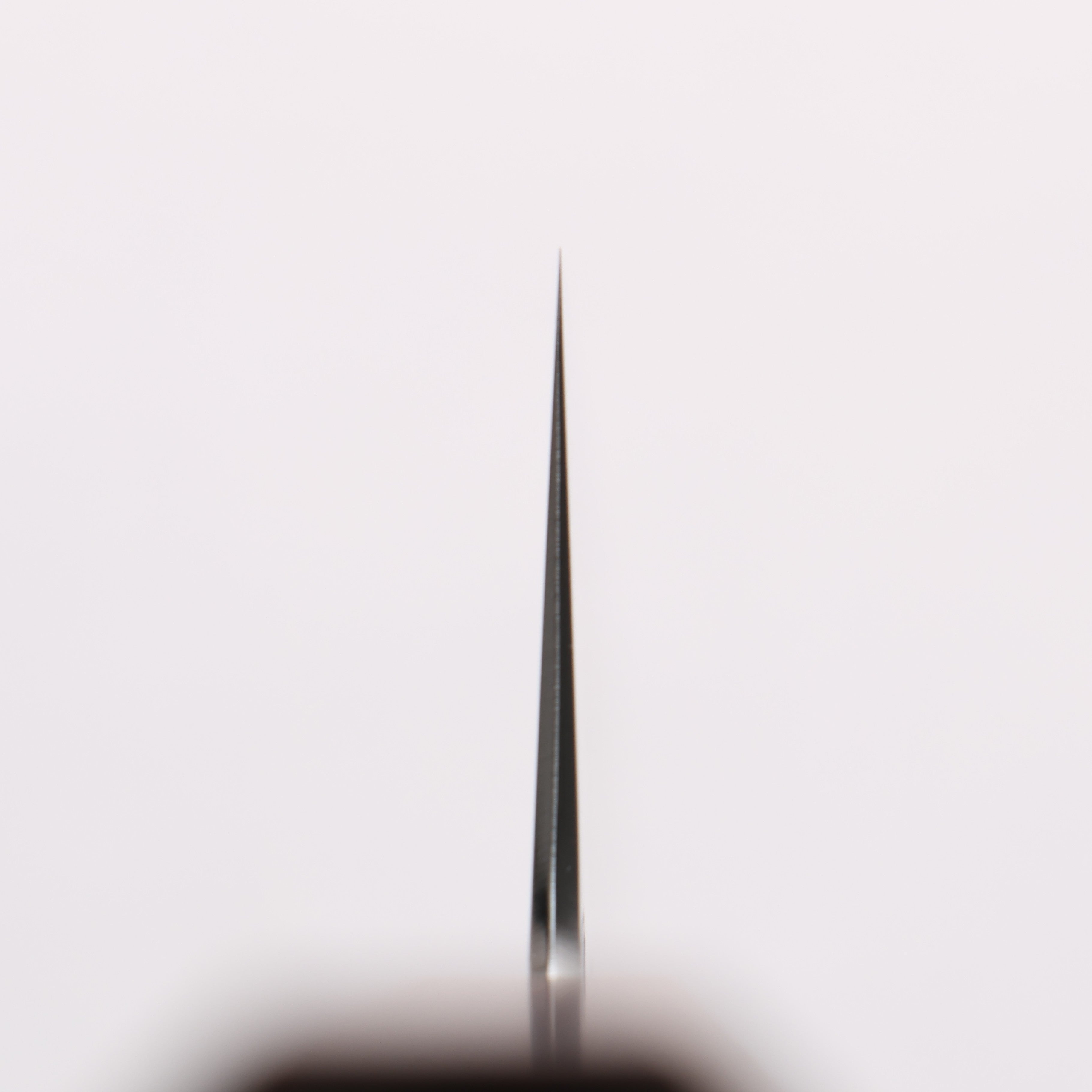 Hado Shiosai SG2 Hammered Kiritsuke Gyuto 210mm Kijiro-nuri Lacquered Handle - Seisuke Knife