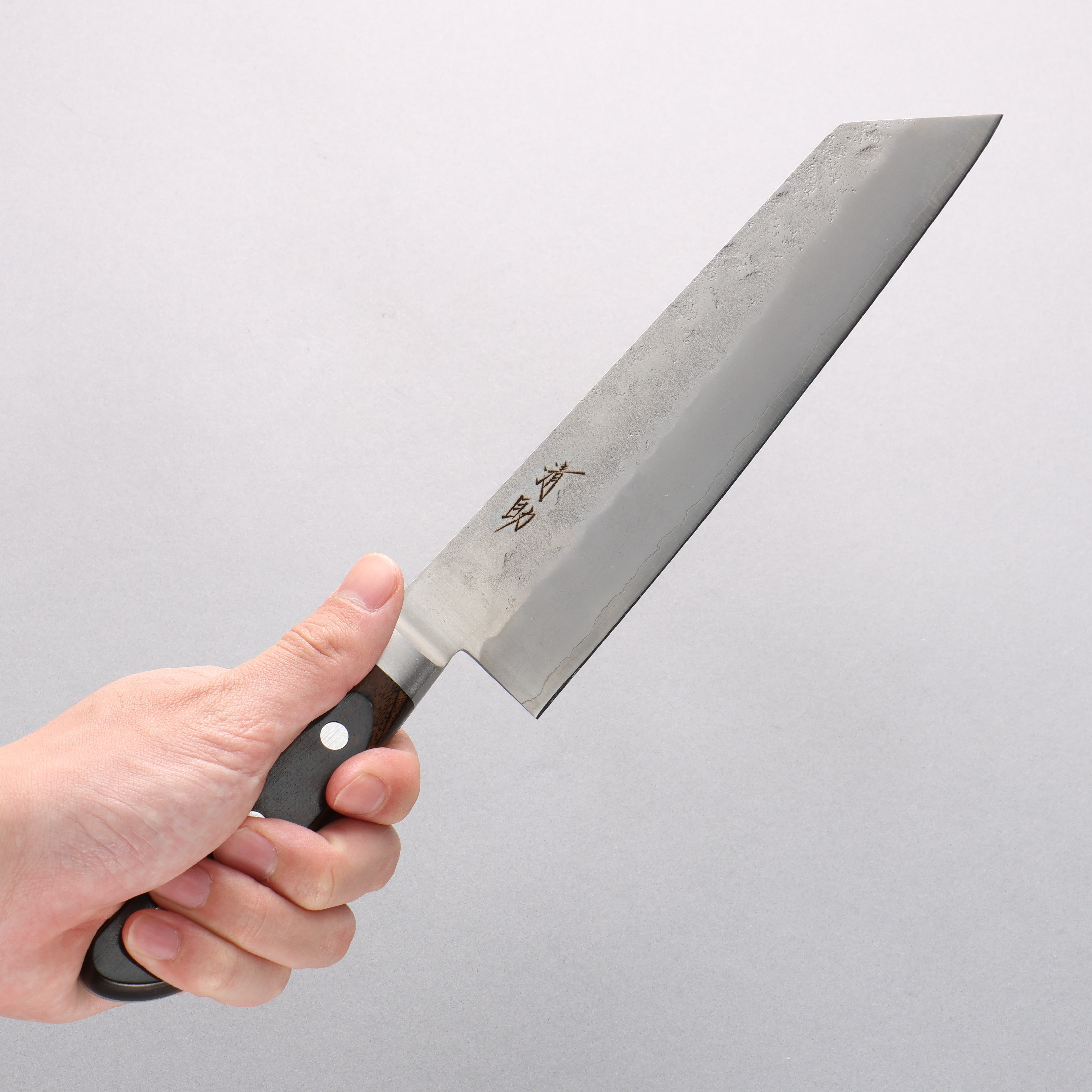 Seisuke Silver Steel No.3 Nashiji Kiritsuke Gyuto 210mm Brown Pakka wood Handle - Seisuke Knife