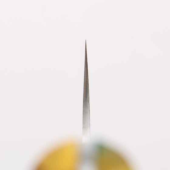 Takeshi Saji SG2 Diamond Finish Damascus Nakiri 165mm Pine Cone and Blue Acrylic Handle - Seisuke Knife