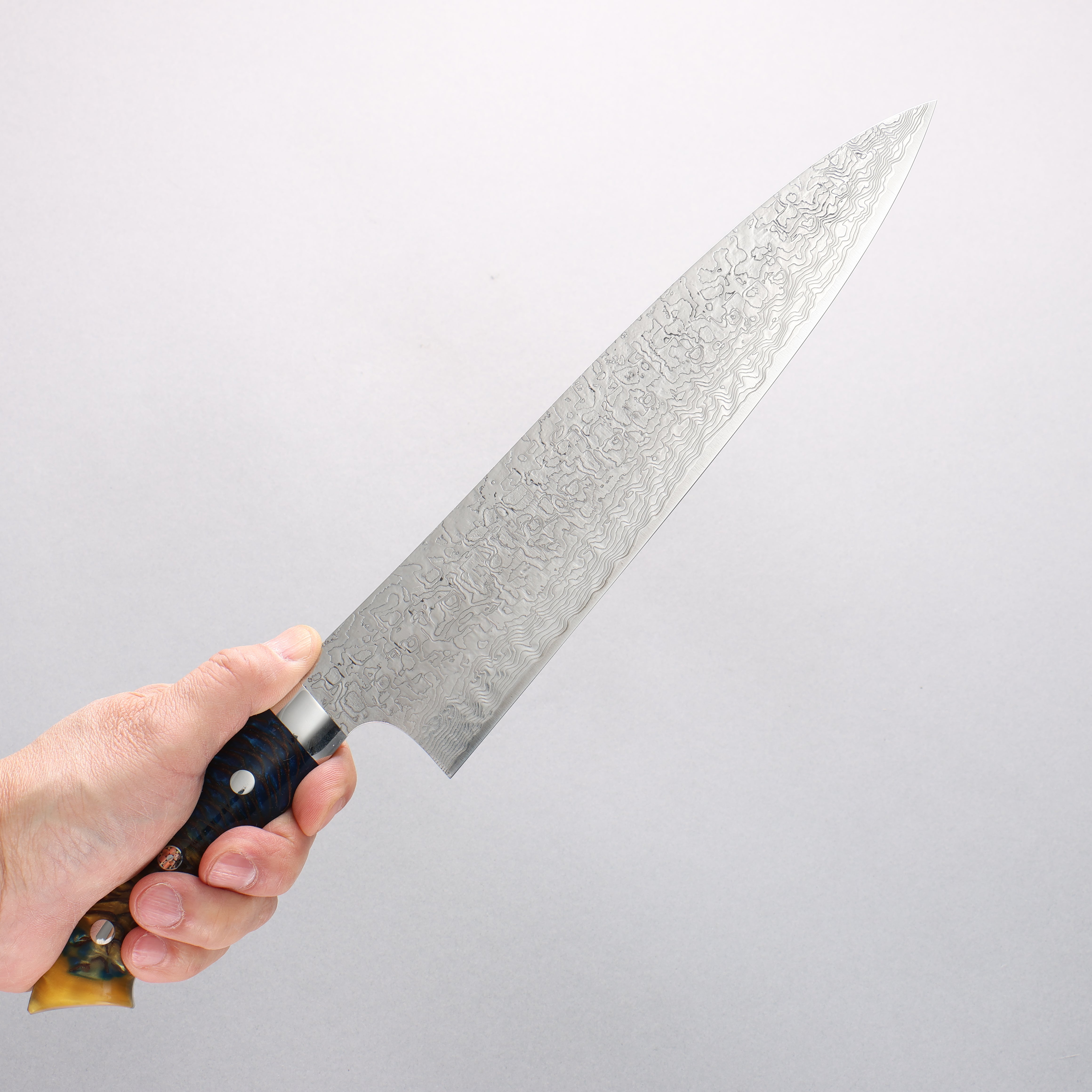 Takeshi Saji SG2 Diamond Finish Damascus Gyuto 240mm Pine Cone and Blue Acrylic Handle - Seisuke Knife