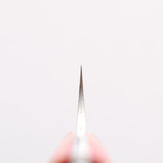 Takeshi Saji SG2 Diamond Finish Damascus Petty-Utility 90mm Red Turquoise Handle - Seisuke Knife