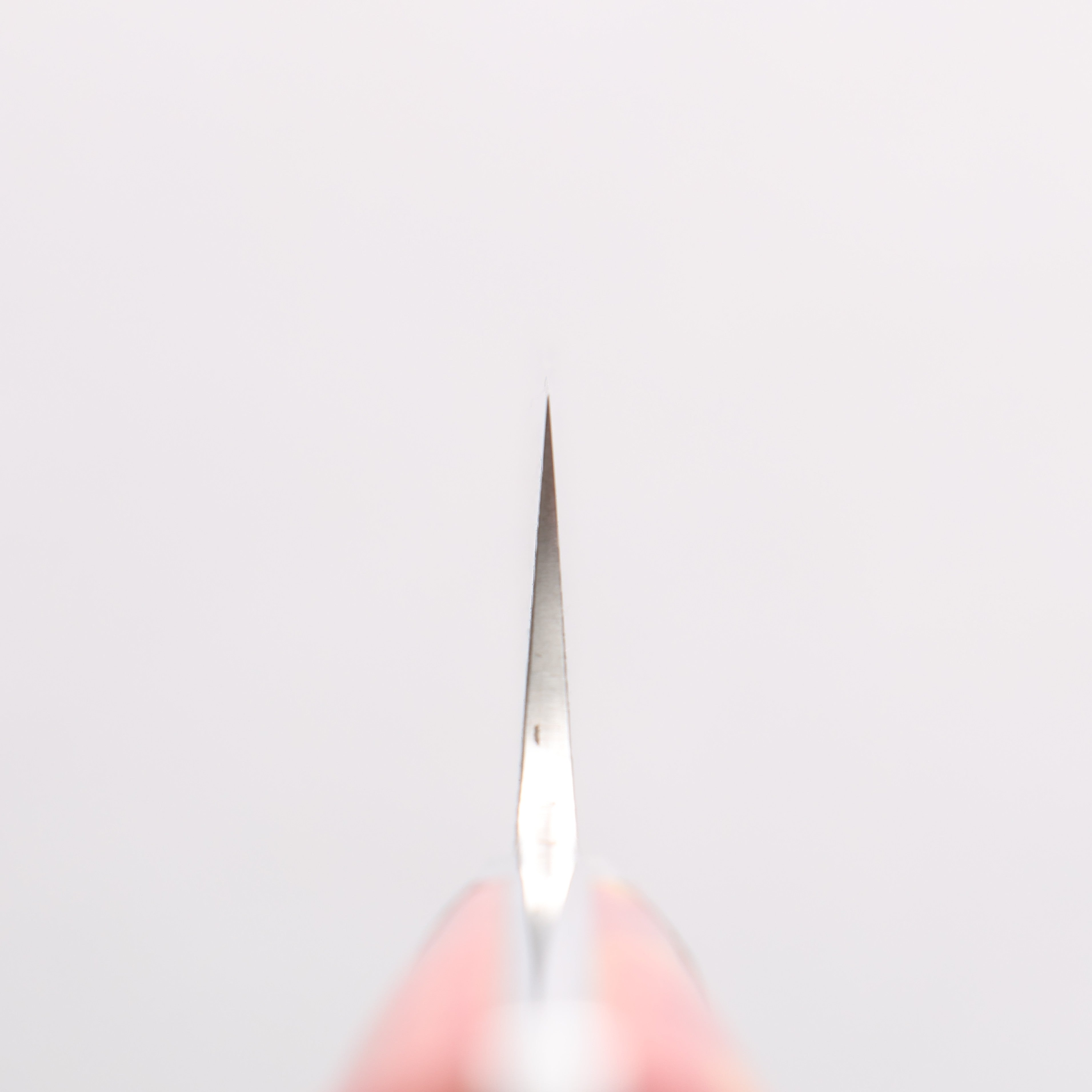 Takeshi Saji SG2 Diamond Finish Damascus Petty-Utility 150mm Red Turquoise Handle - Seisuke Knife